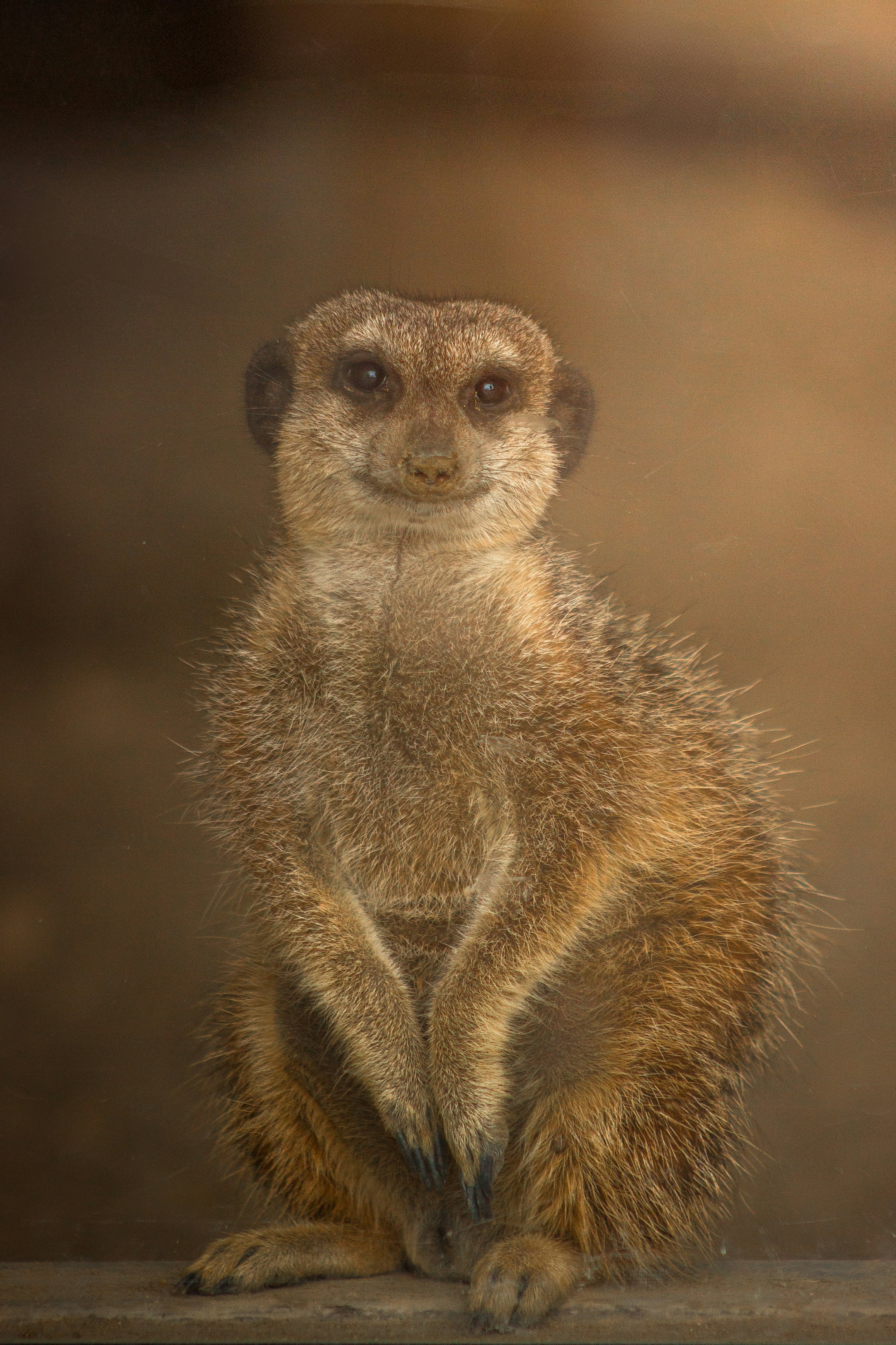 Photo by shotbyellamateea