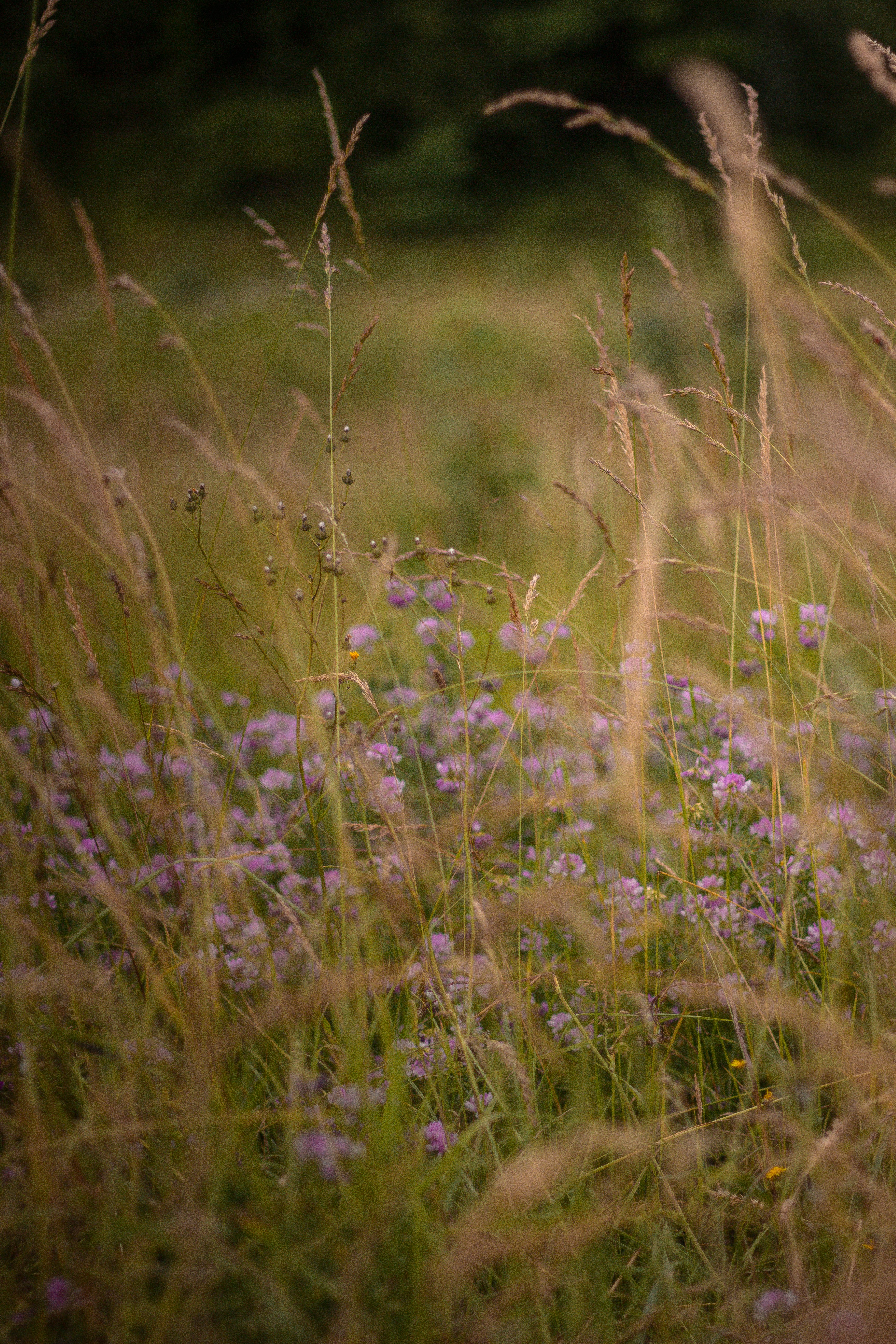 Photo by shotbyellamateea