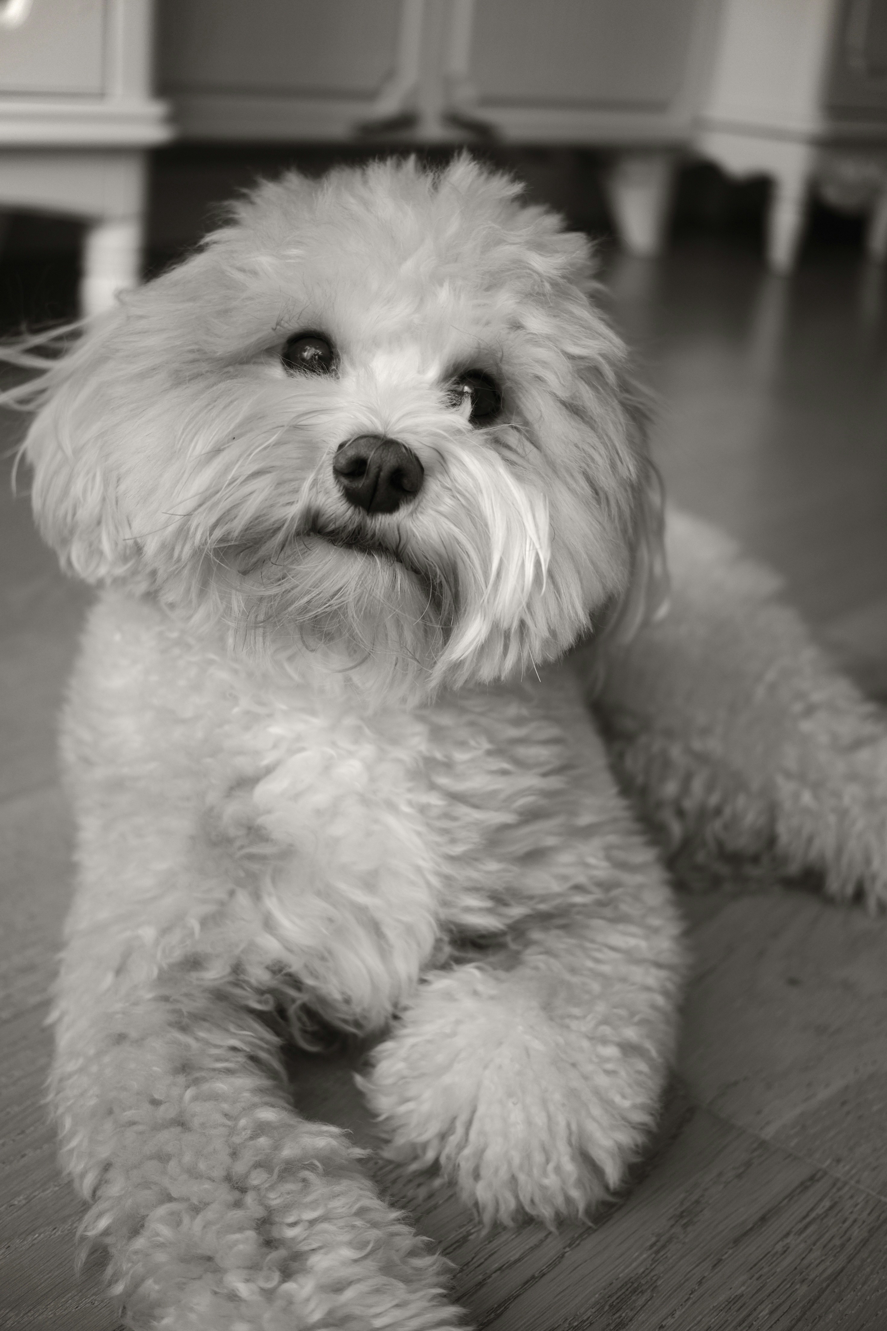 Photo by sarahabilova