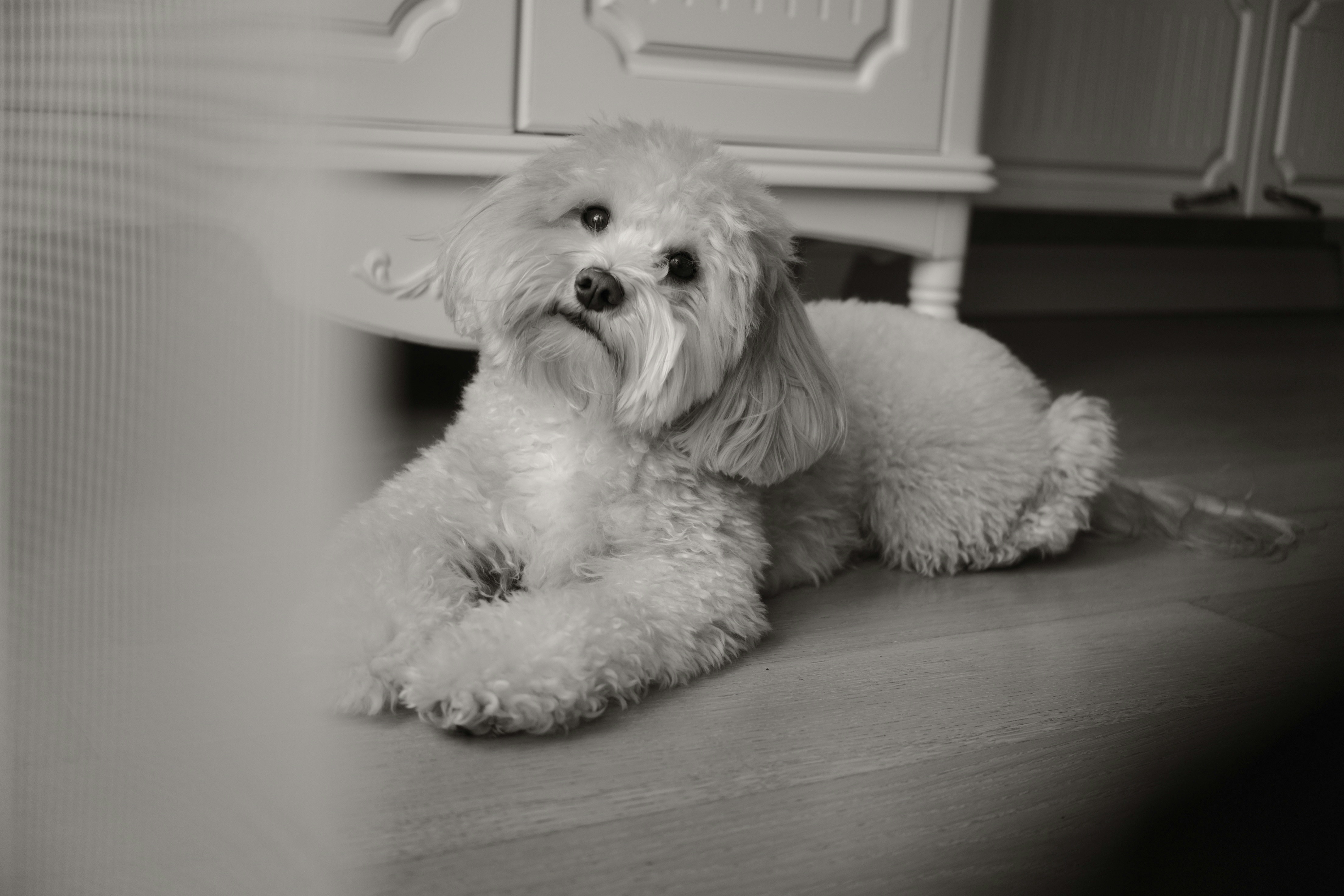 Photo by sarahabilova