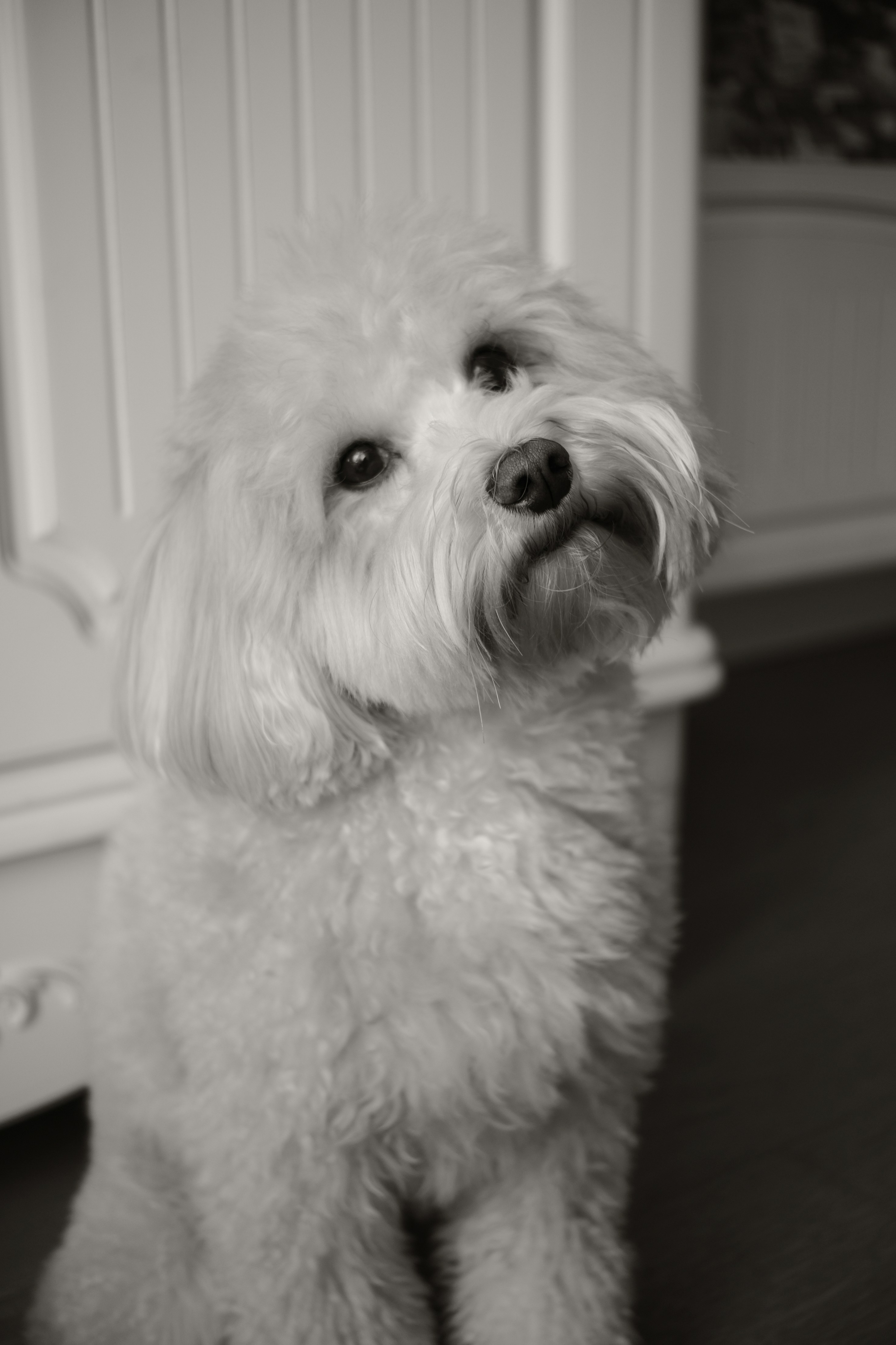 Photo by sarahabilova