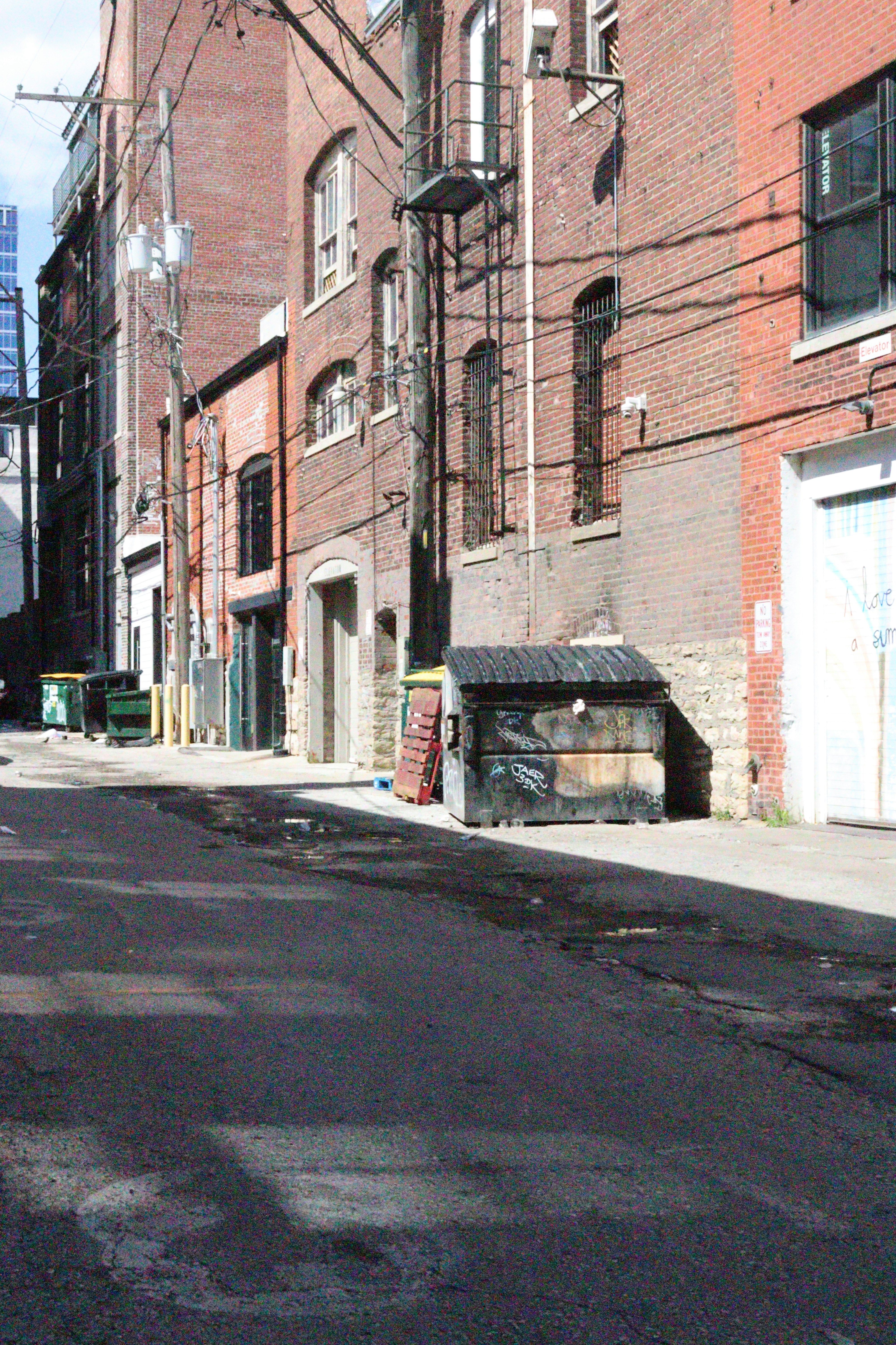 Um beco urbano com prédios de tijolos e uma lixeira.