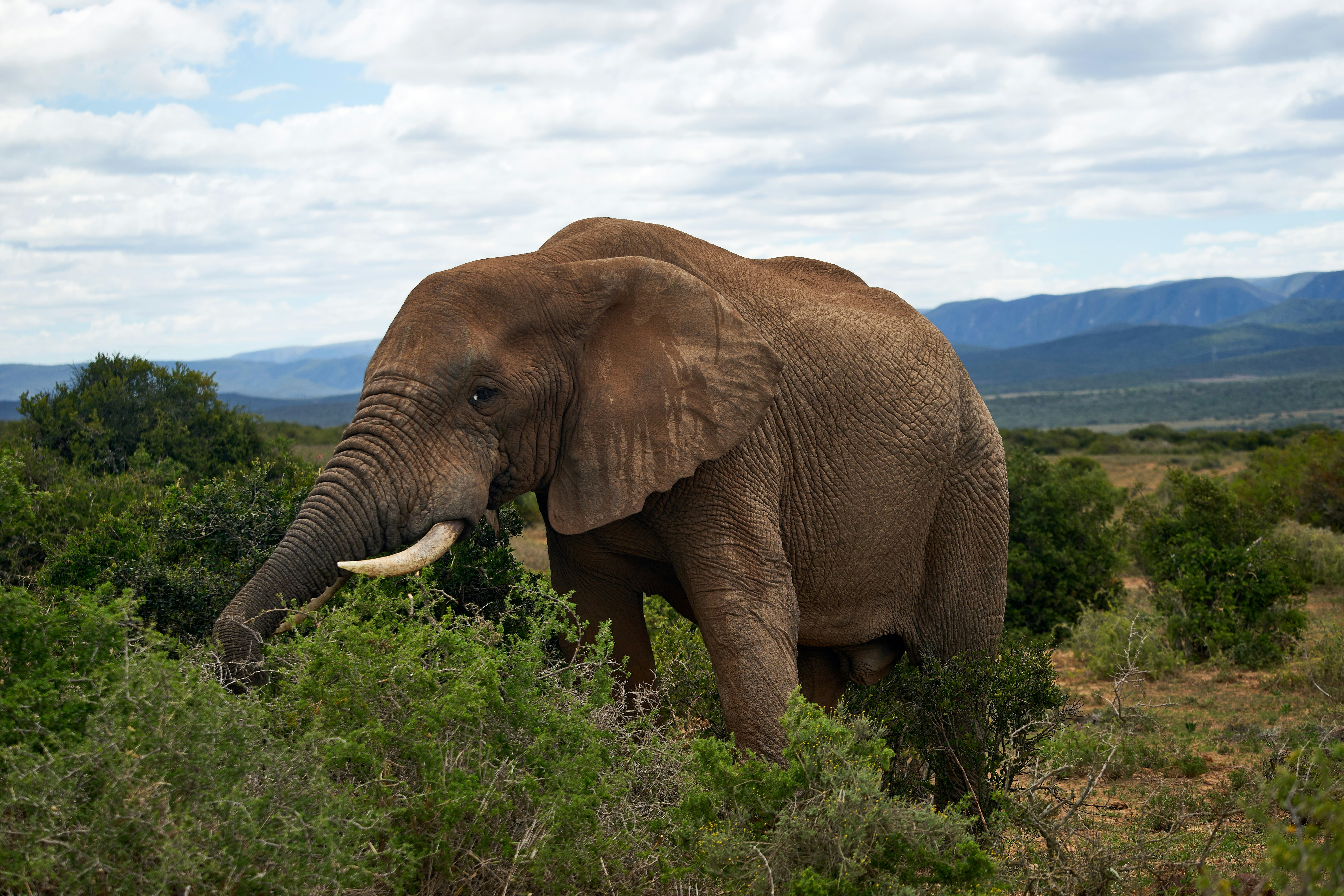 Photo by wolfgang_hasselmann