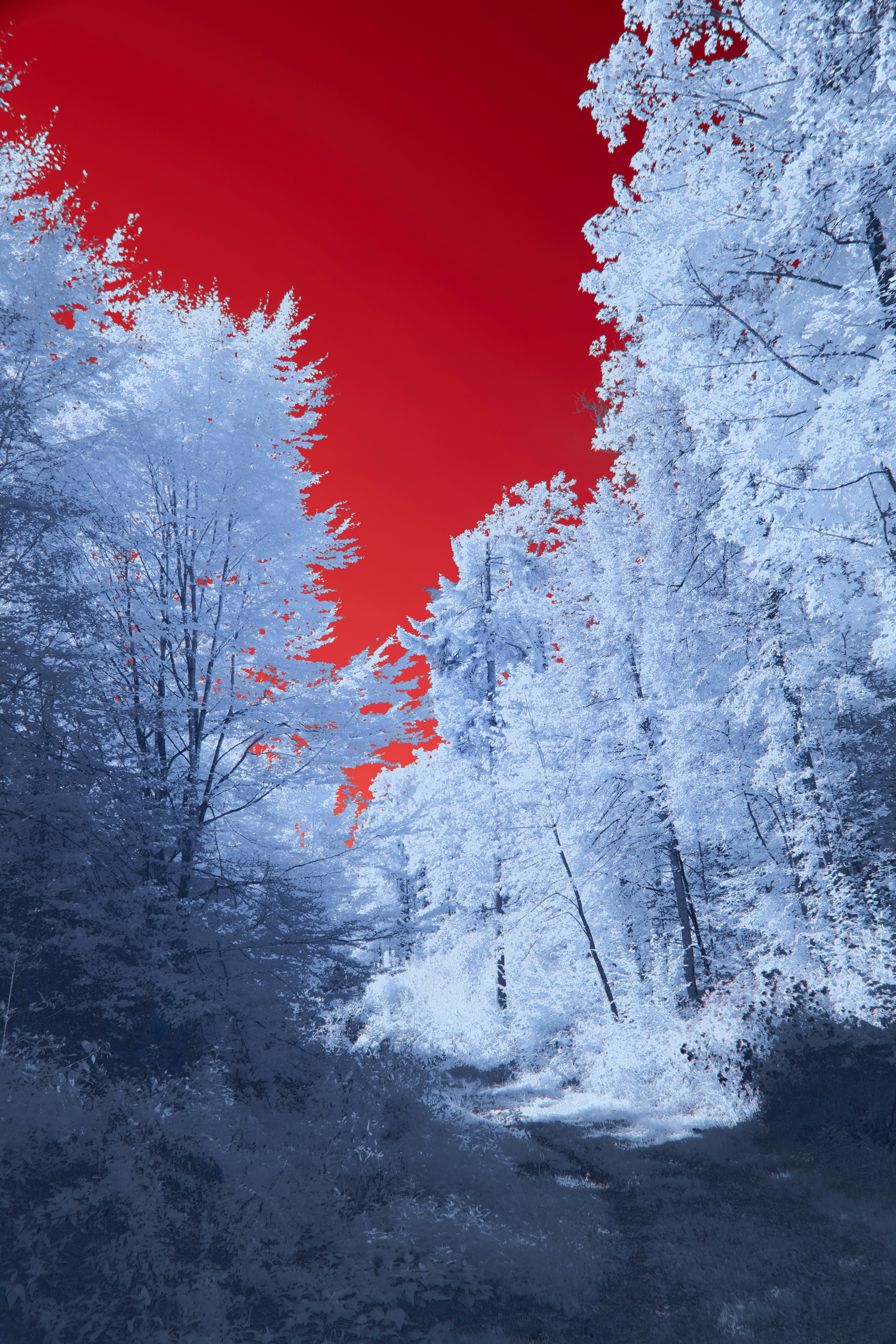 Photo by wolfgang_hasselmann