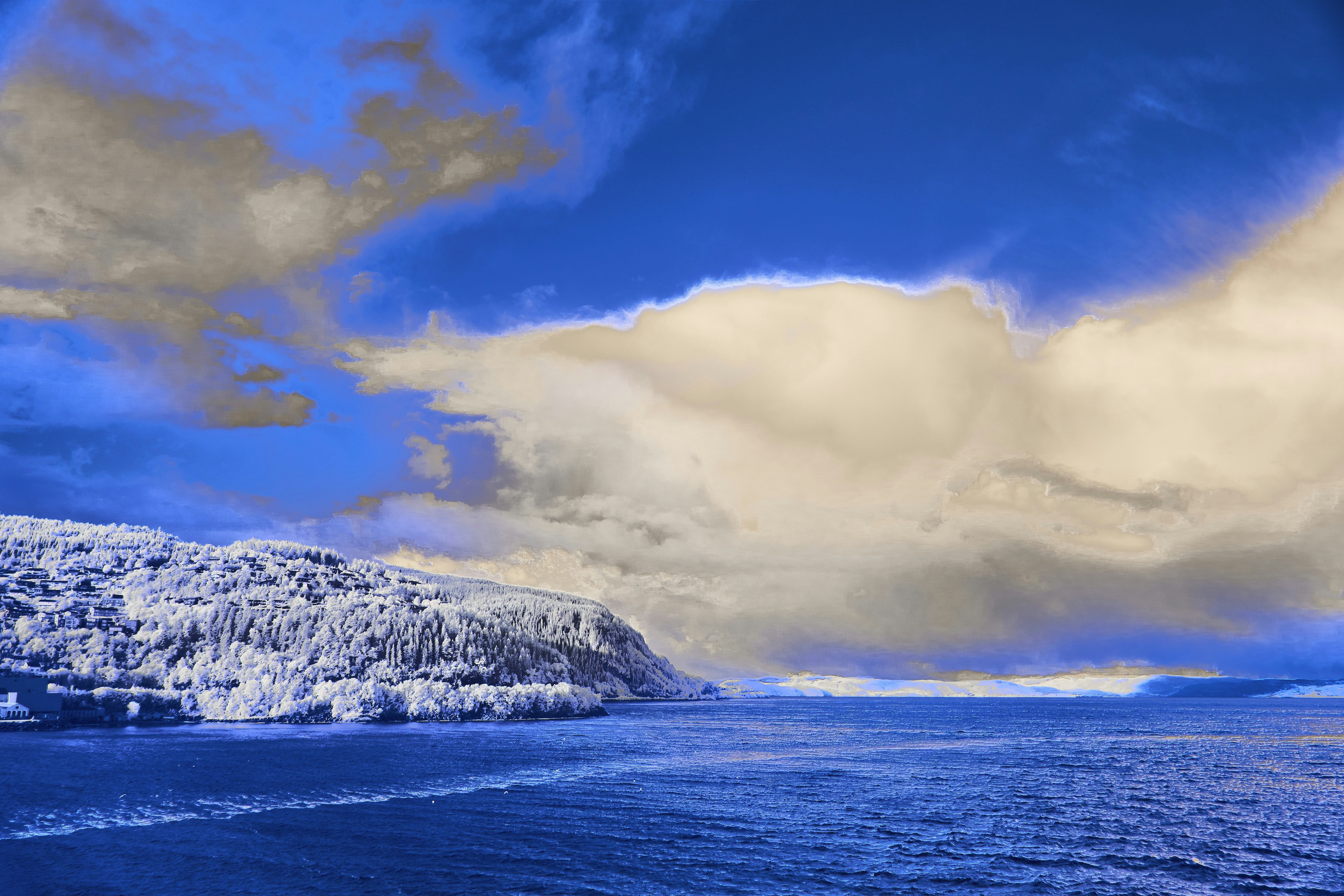 Photo by wolfgang_hasselmann