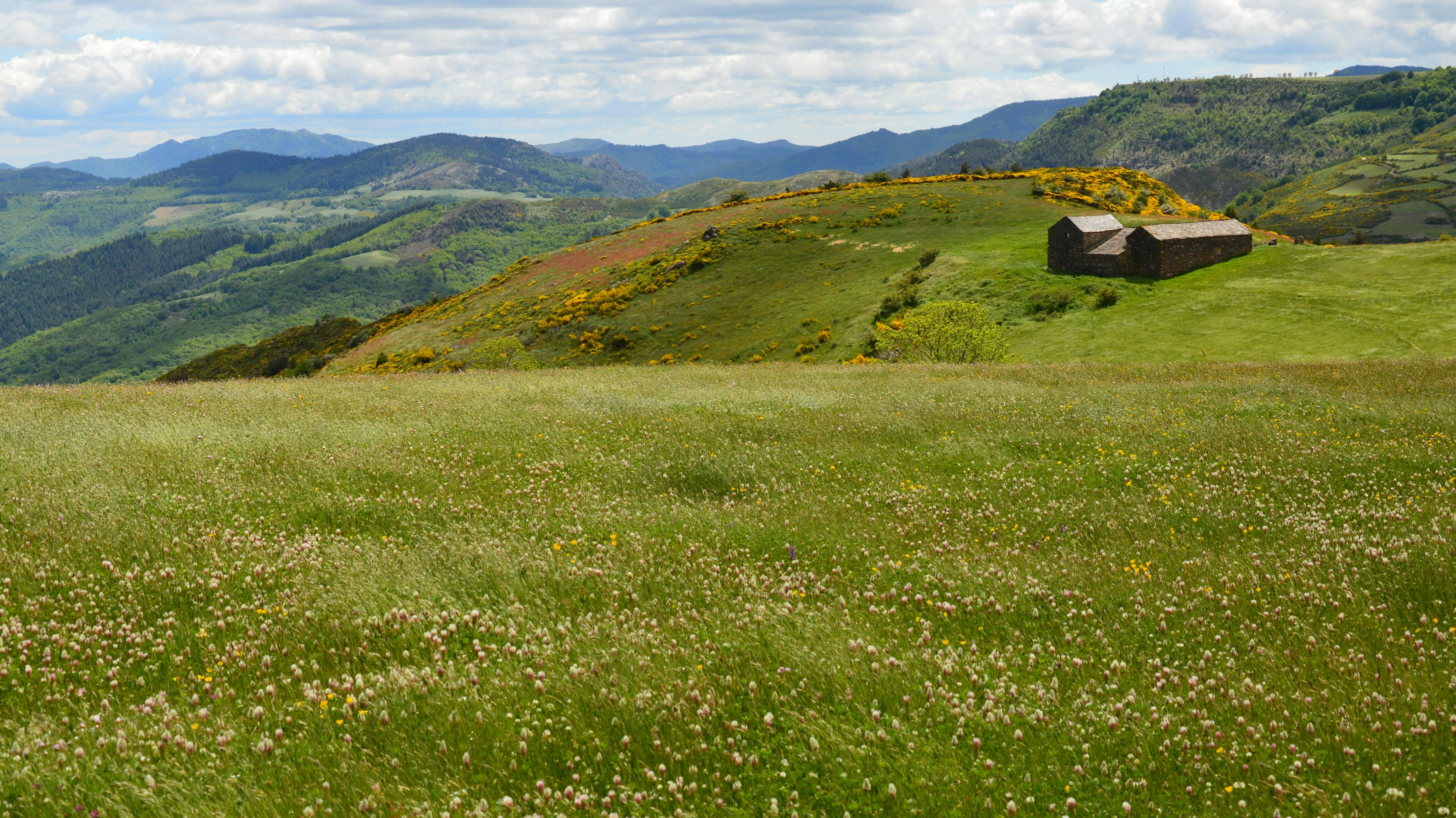 Green meadows lead to a mountain with buildings.