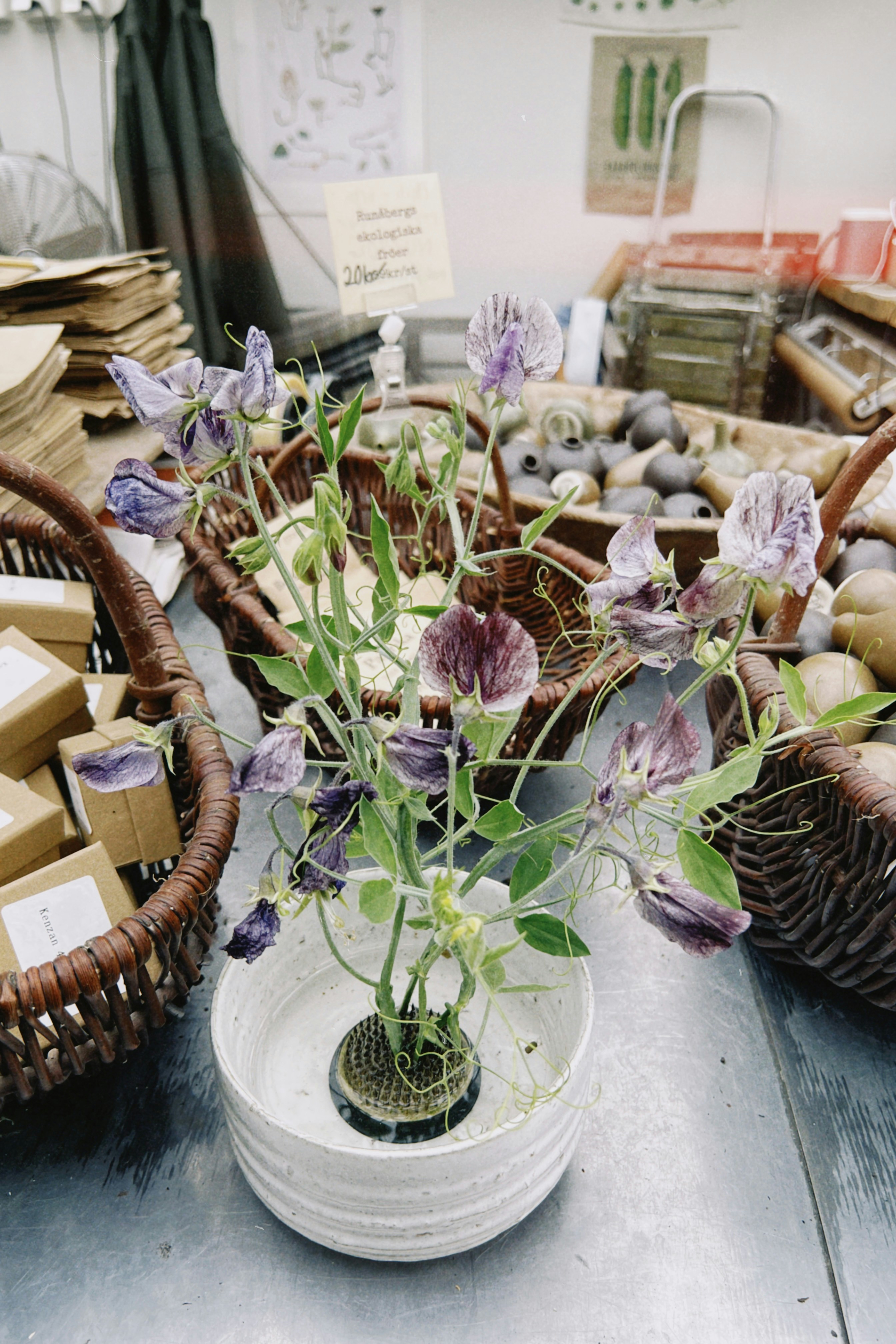 Photo by anniespratt