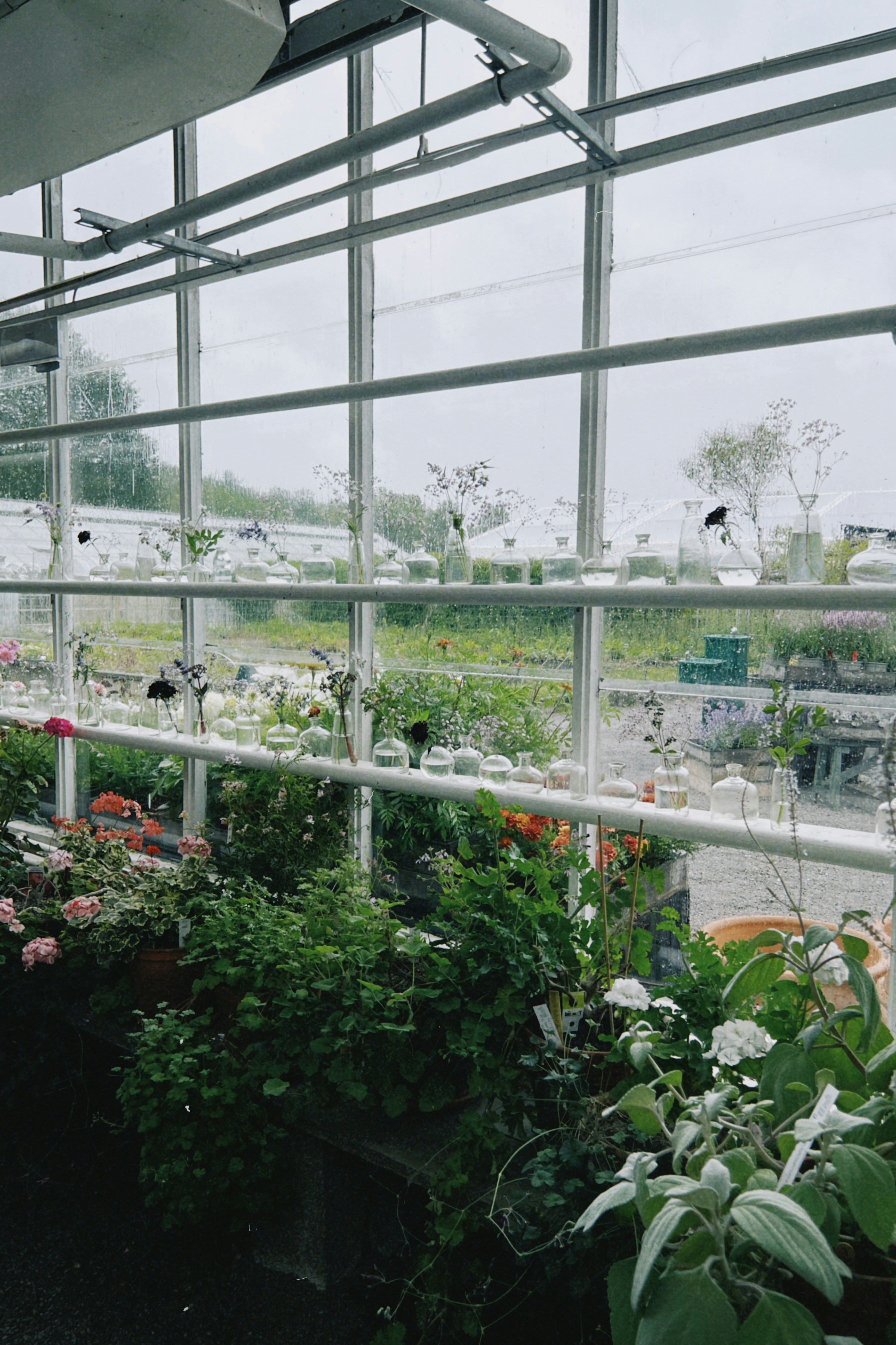 Photo by anniespratt