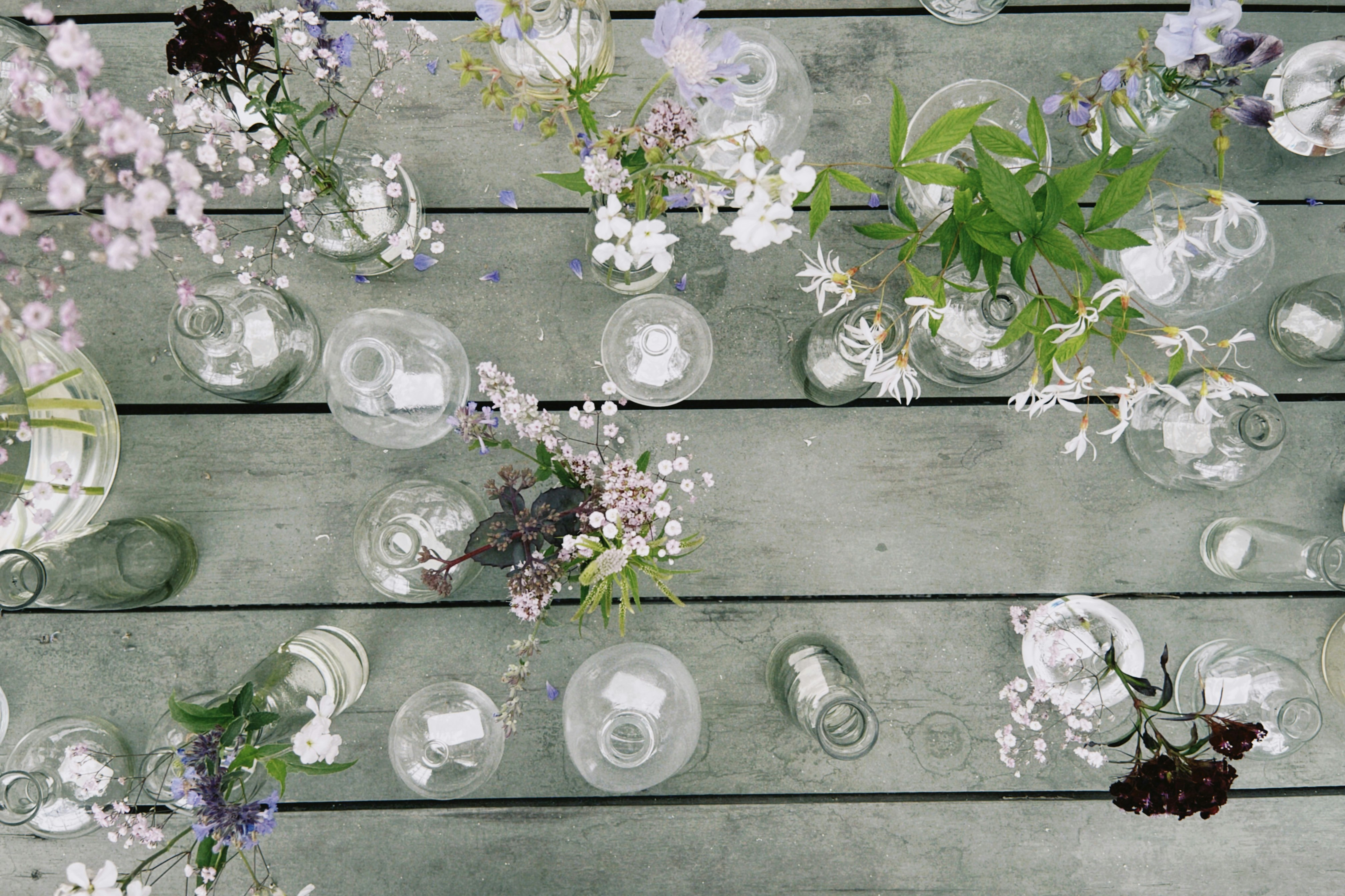 Flowers are arranged in small glass vases.
