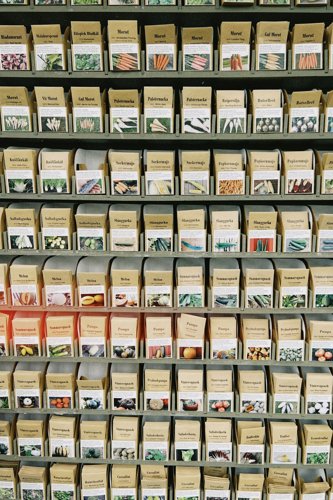 Shelf stocked with rows of labelled seed packets
