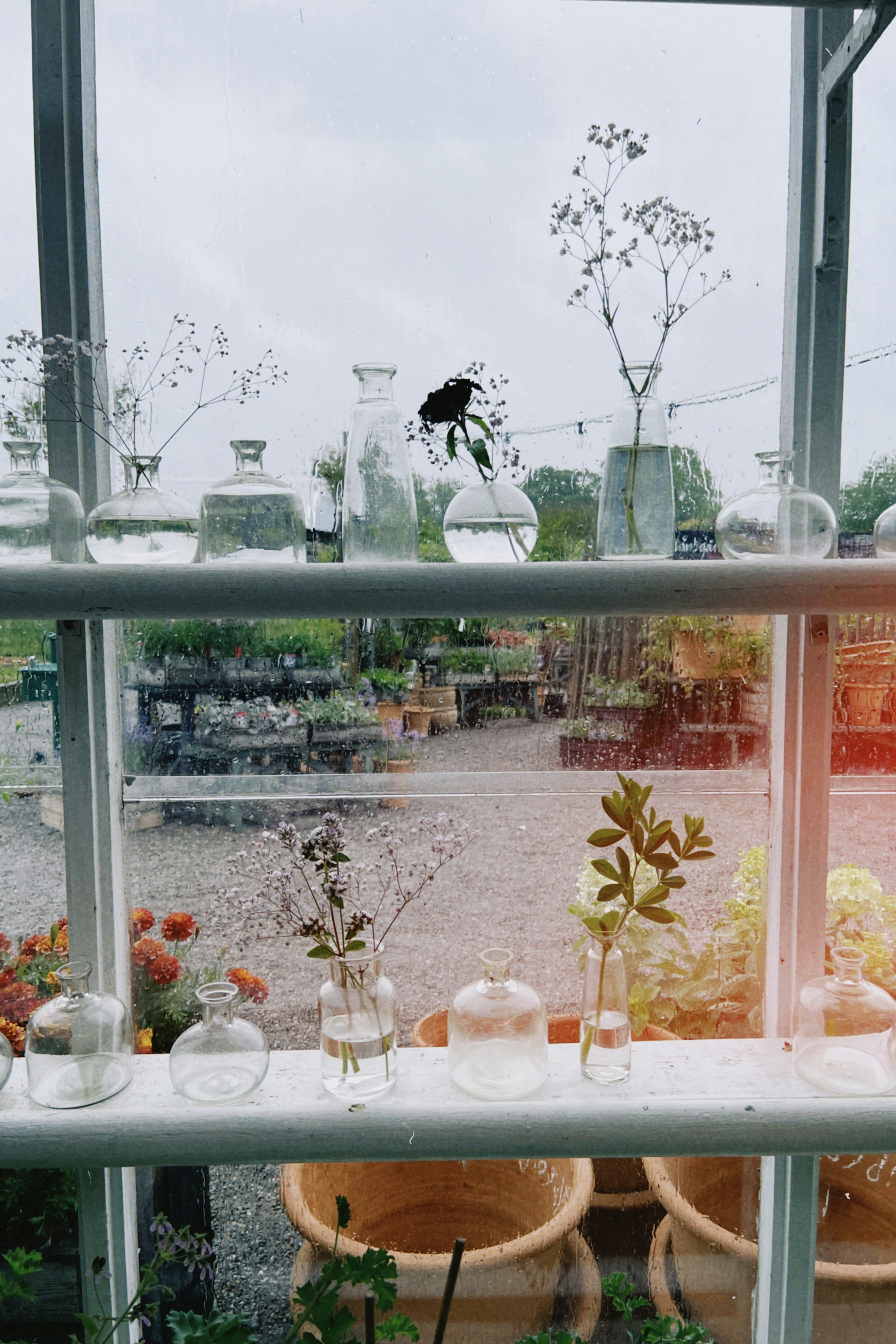 Flowers in vases adorn a window shelf.