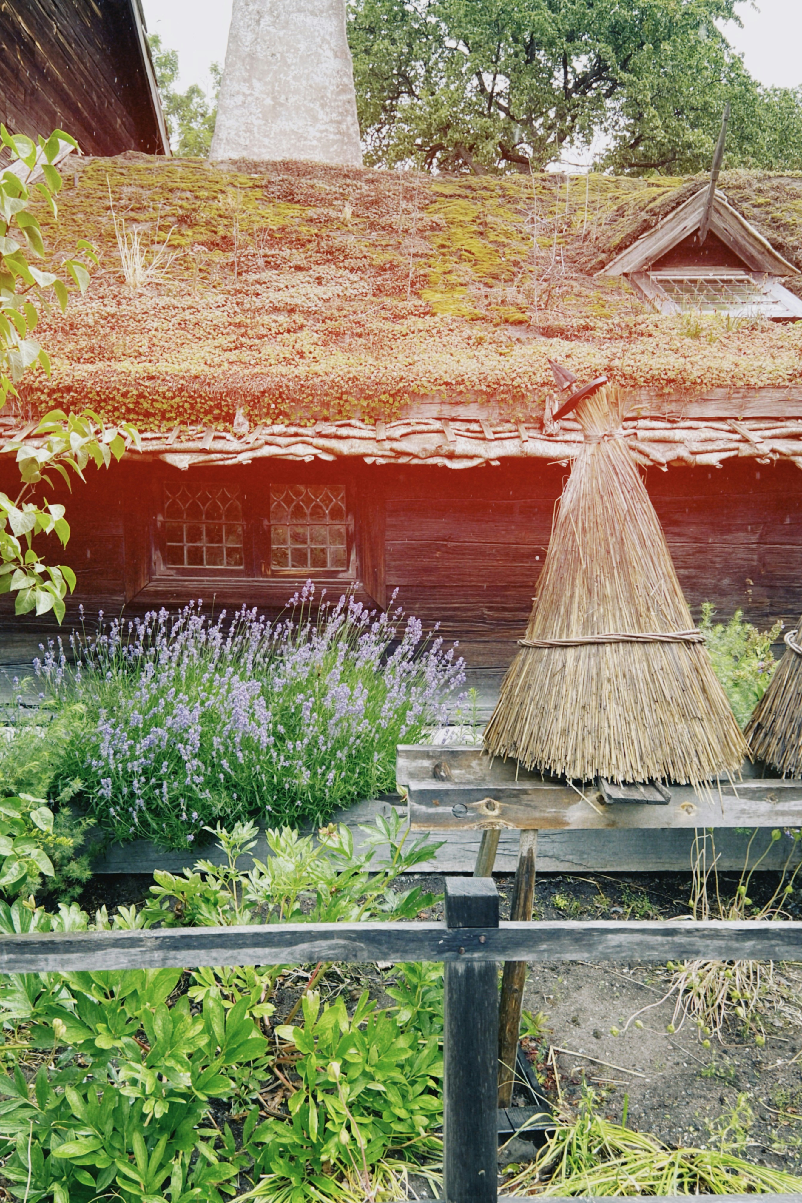 Photo by anniespratt