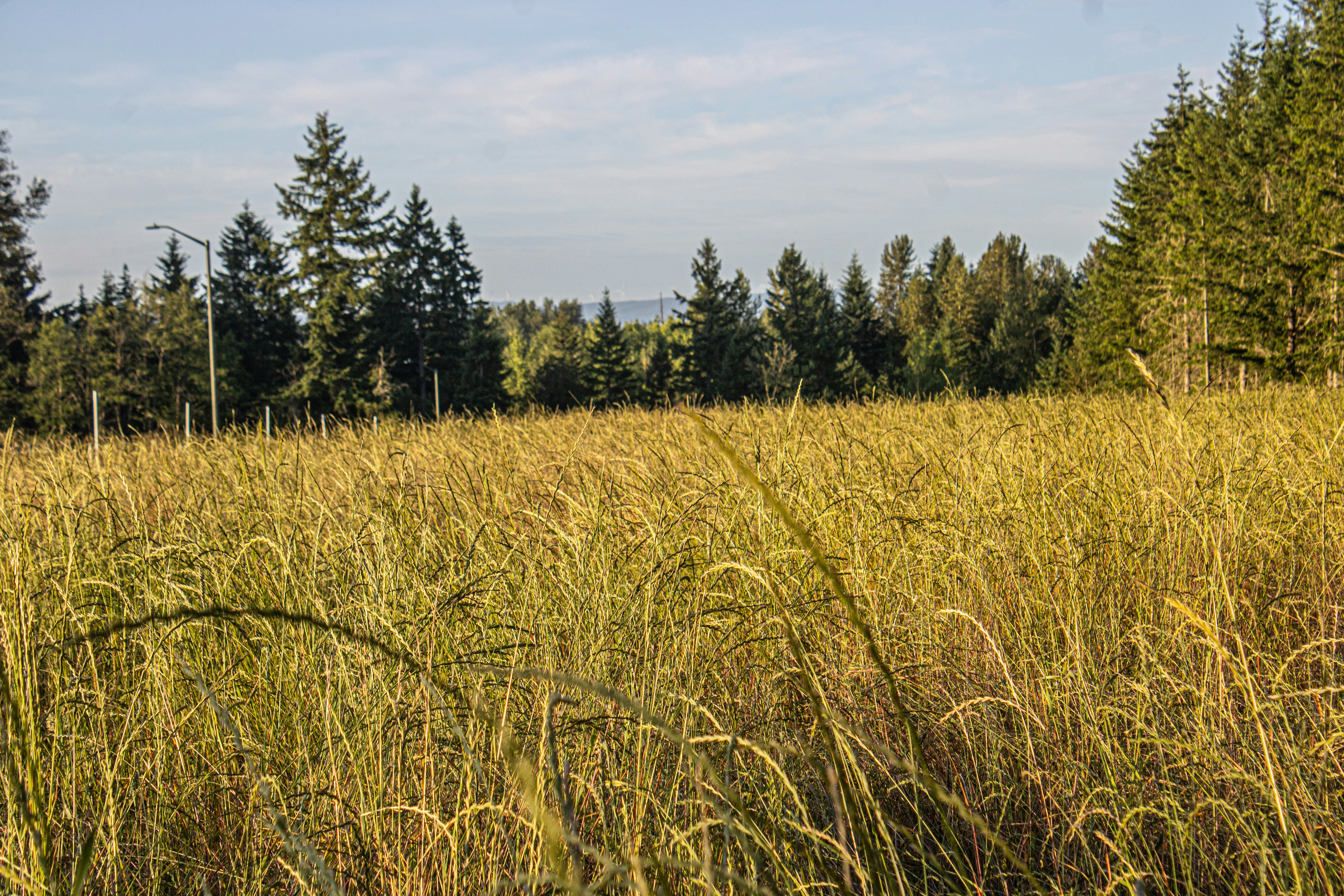 Photo by prphotography262