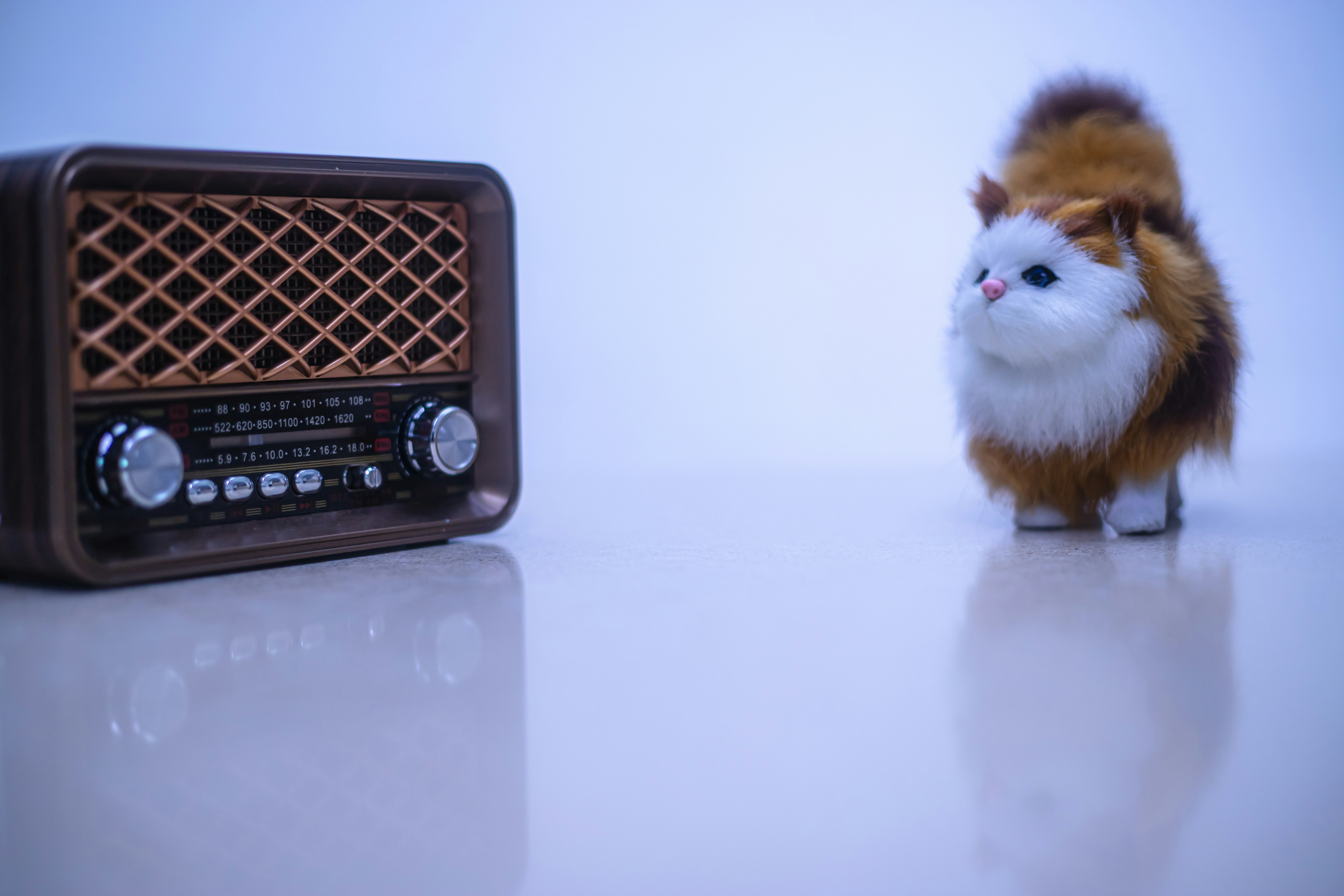 Eva, the charming plush cat, stands beside a retro radio with warm brown tones and golden dials. Her soft fur and curious blue eyes meet a vintage mood—where cuteness and nostalgia harmonize beautifully.