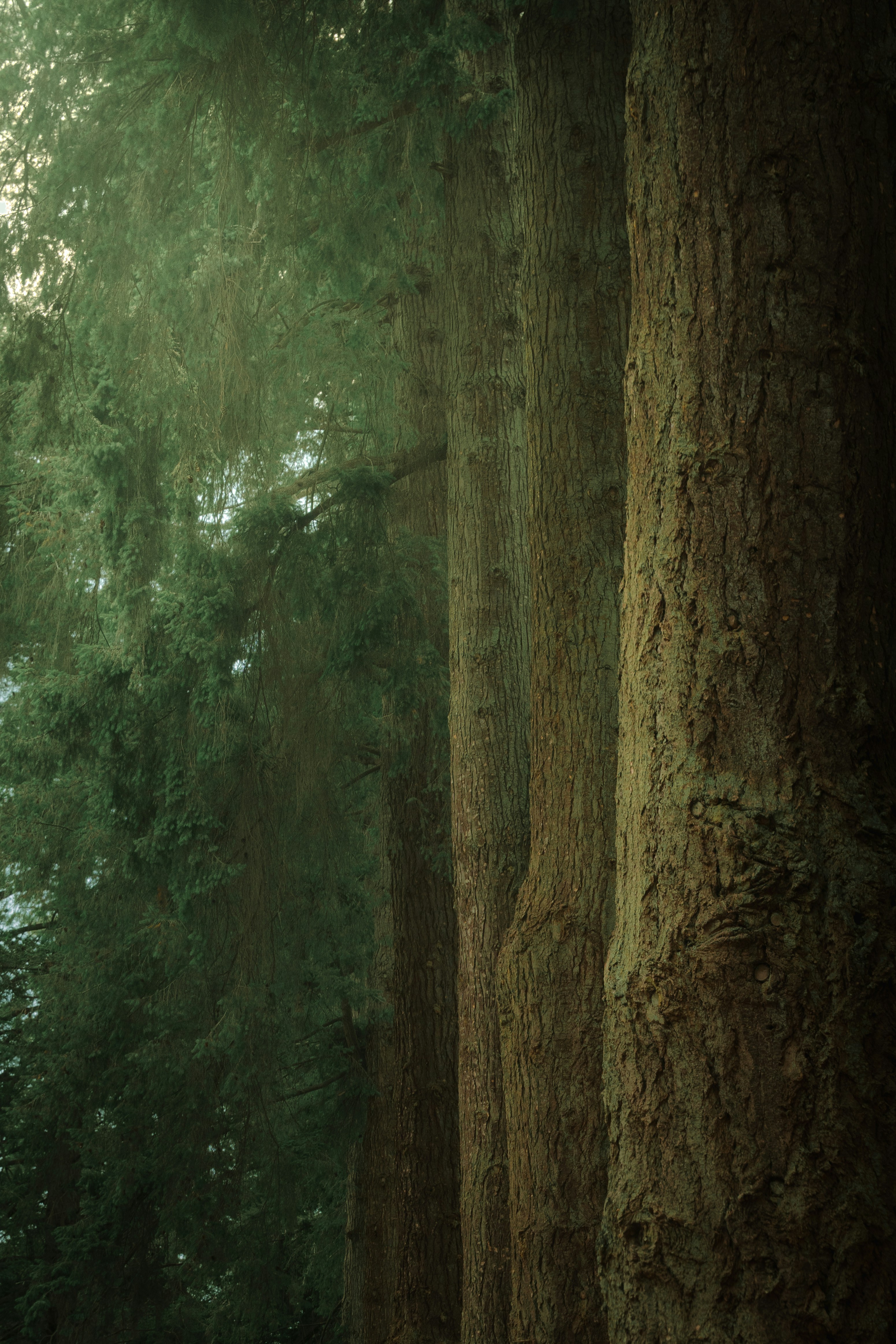 Photo by alexisnthere_