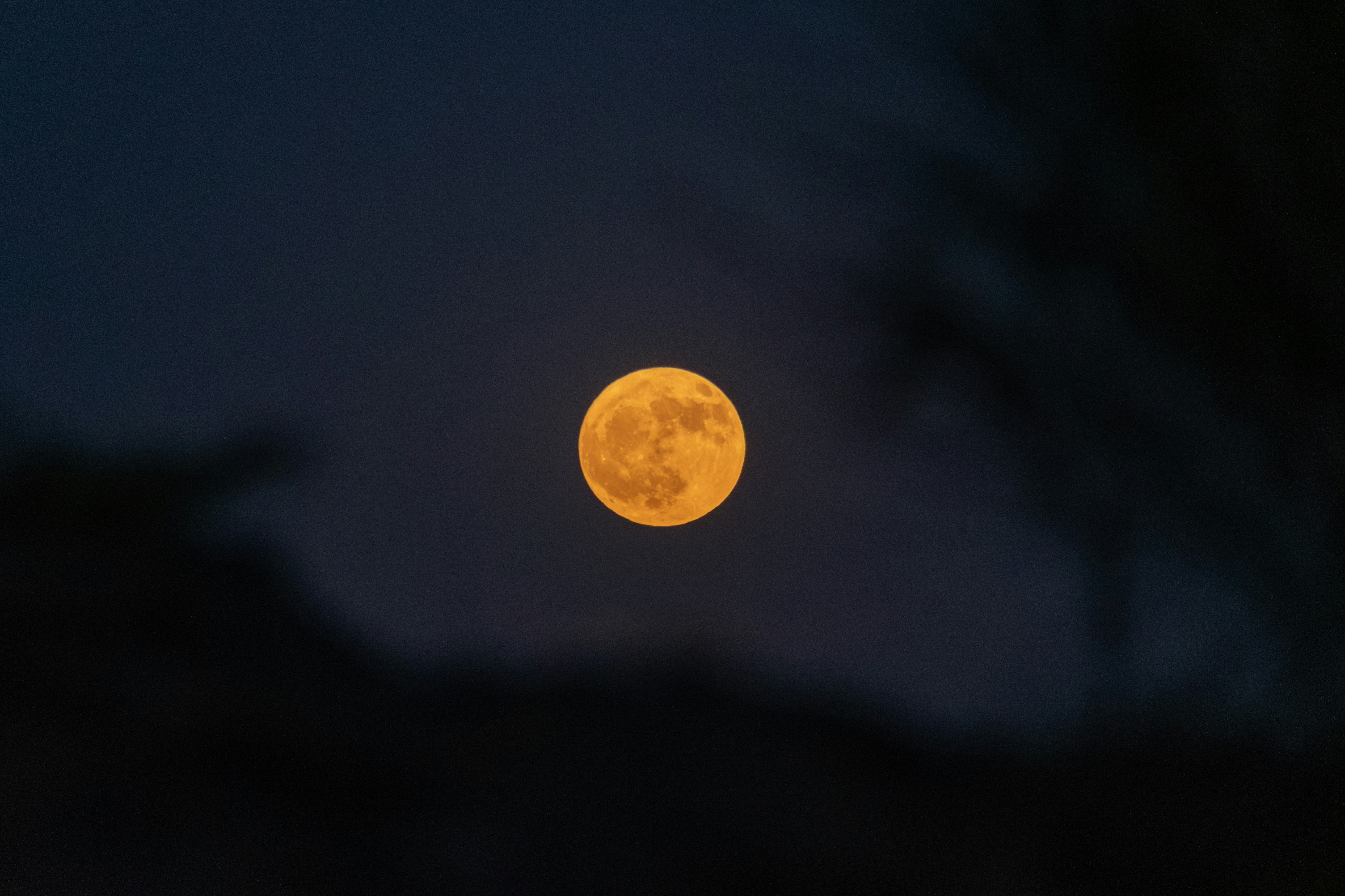 Photo by s_ahmadreza_p