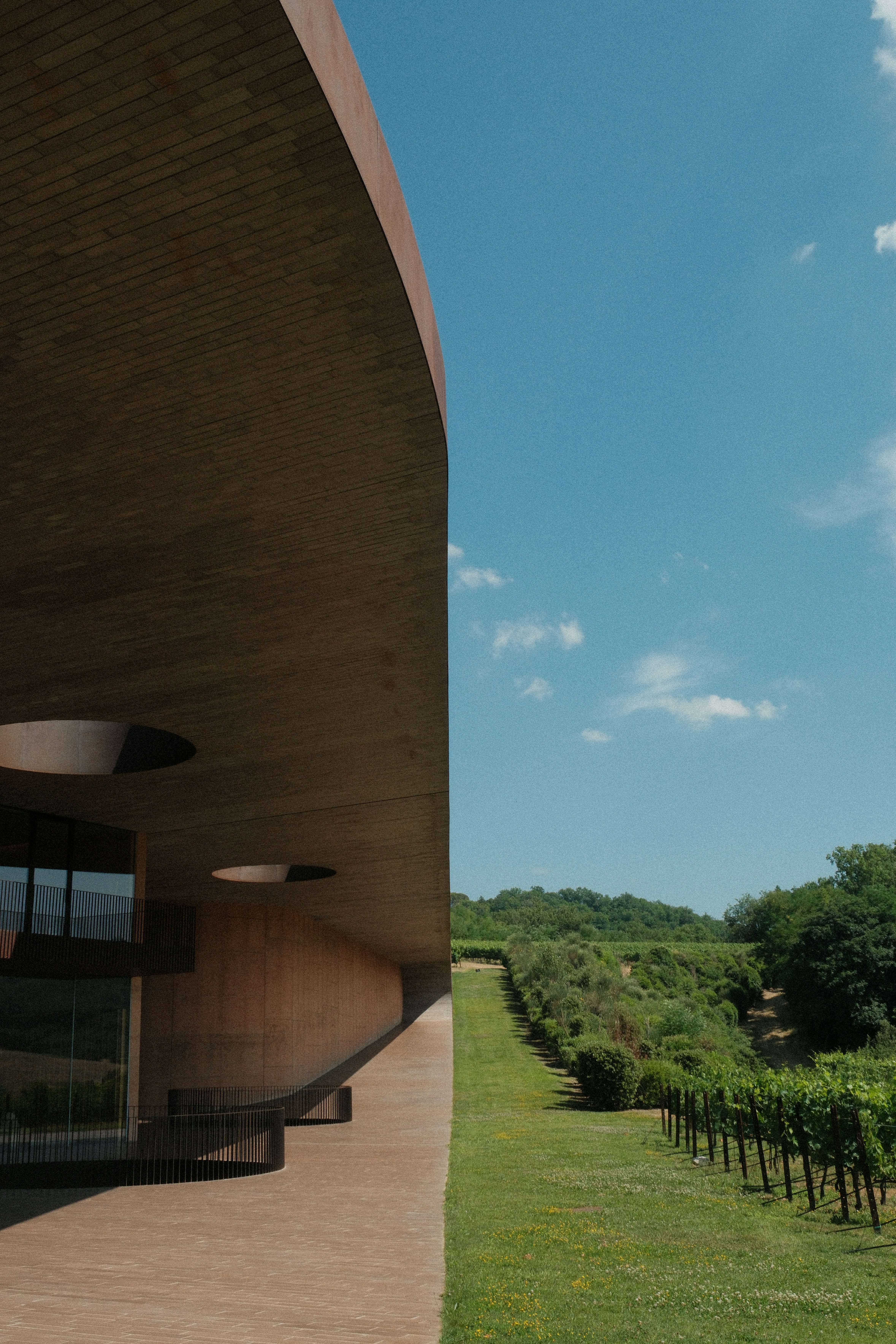 A modern building overlooks a lush vineyard.
