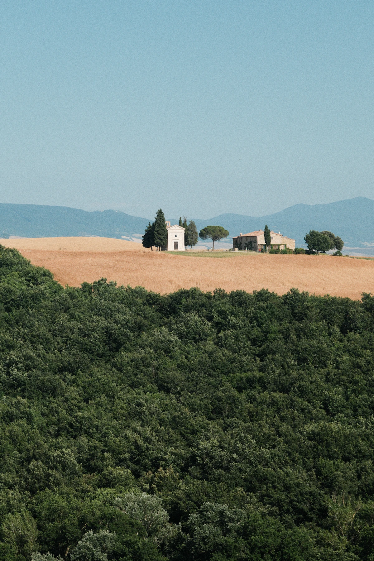 Oltre 30 milioni per l'agricoltura di Molise, Lazio e Campania: cosa sono questi fondi