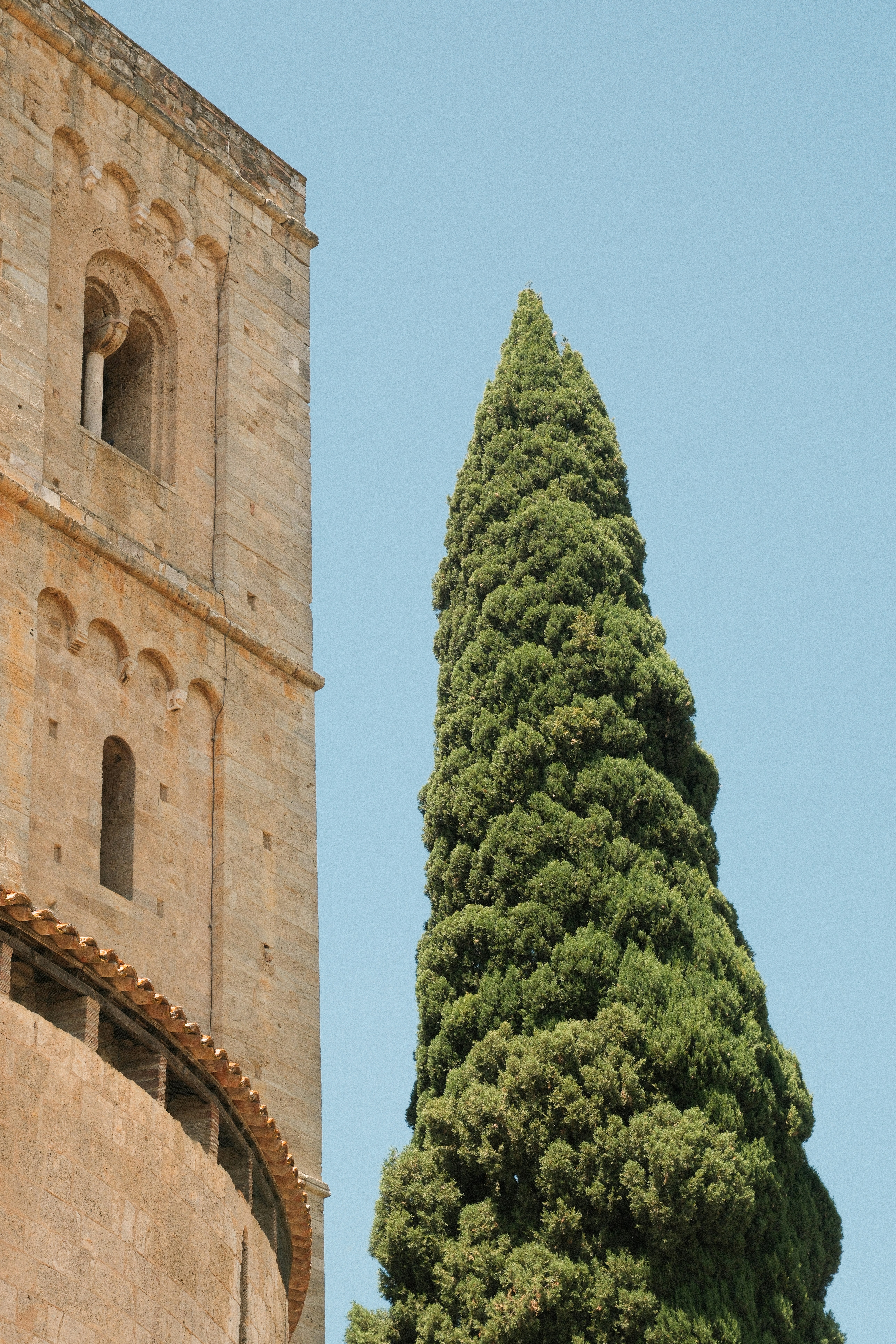 A tall tree stands next to an old stone tower.