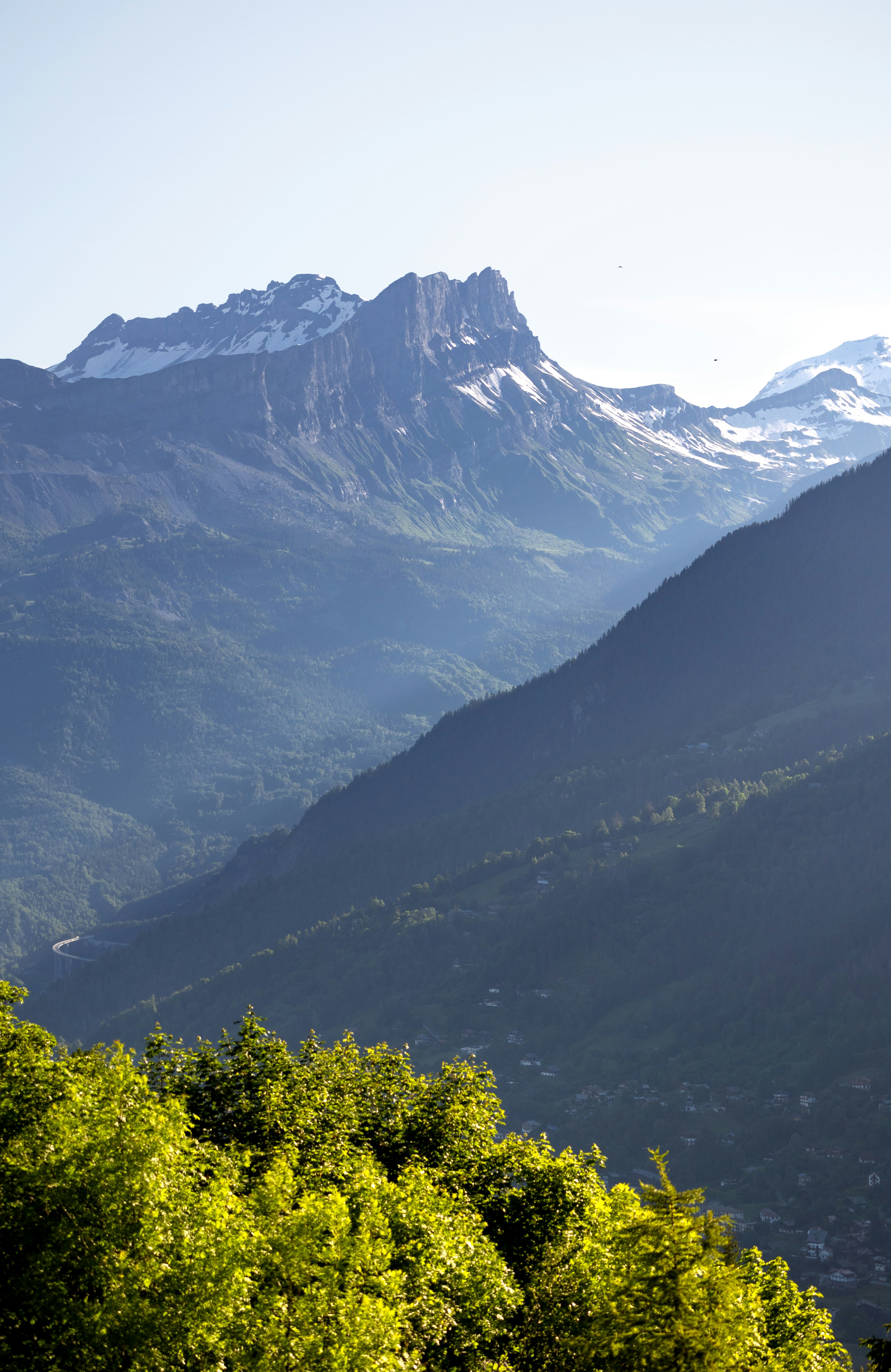 Photo by marekpiwnicki