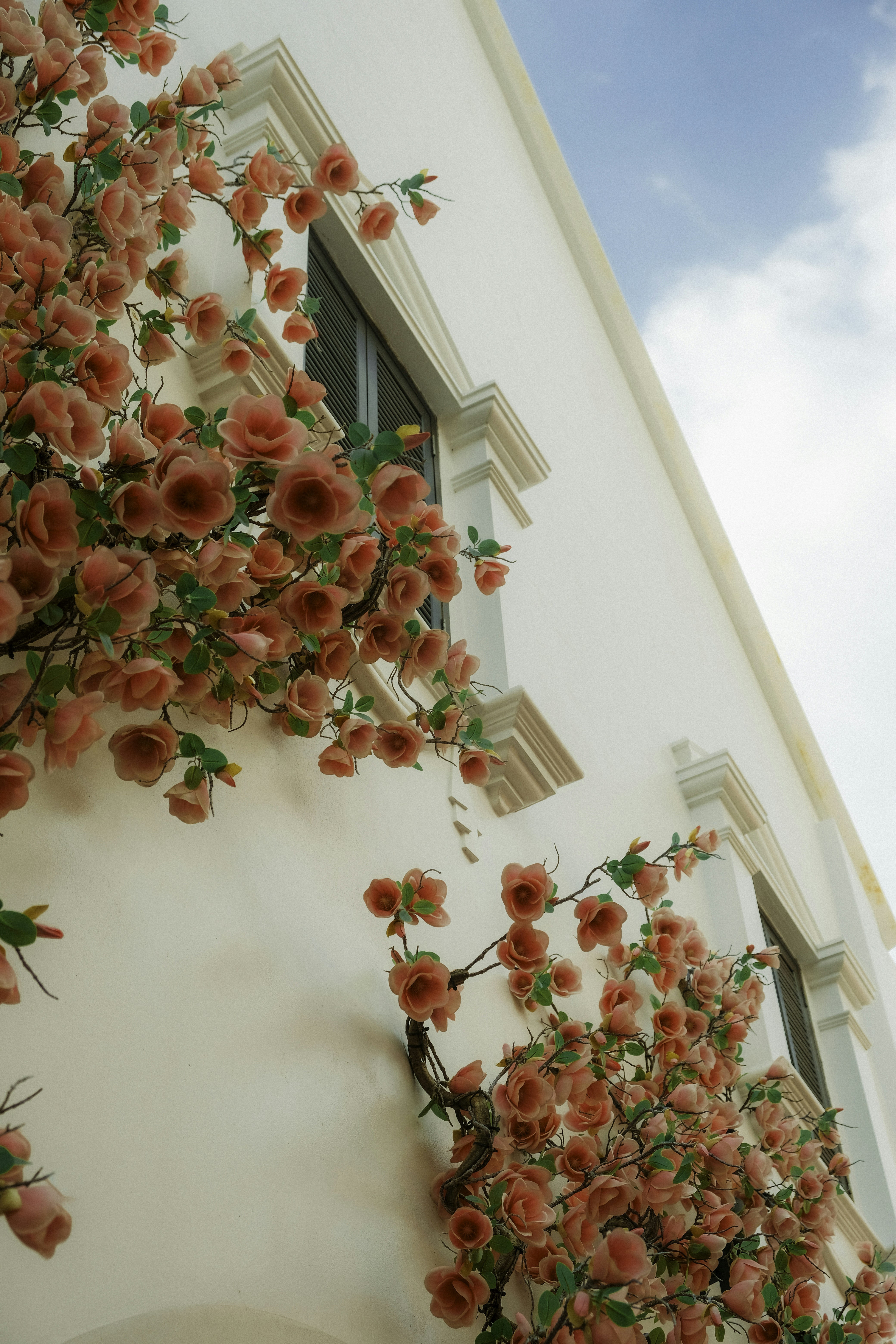 Photo by marishphoto