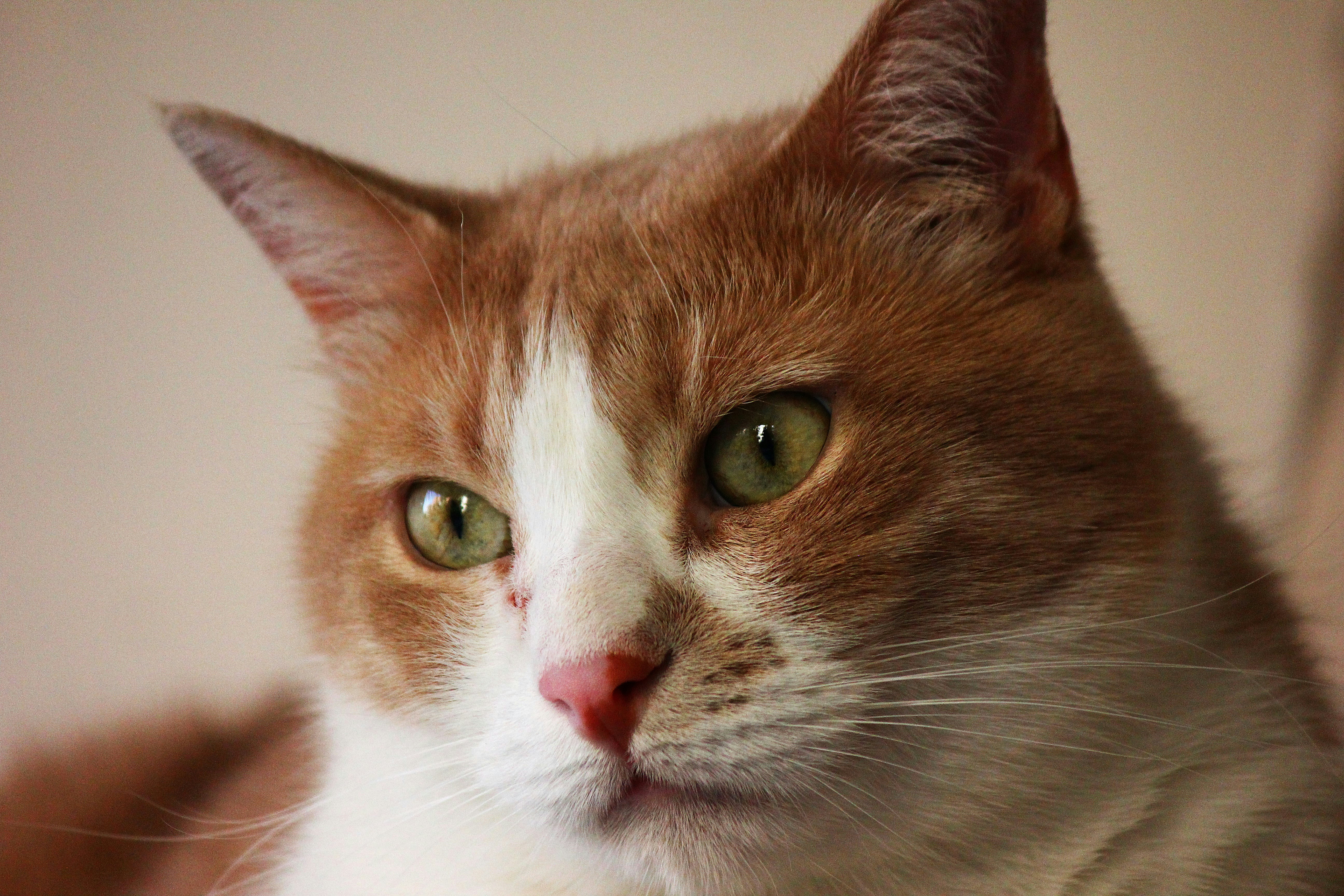 Photo by cengizozarpat