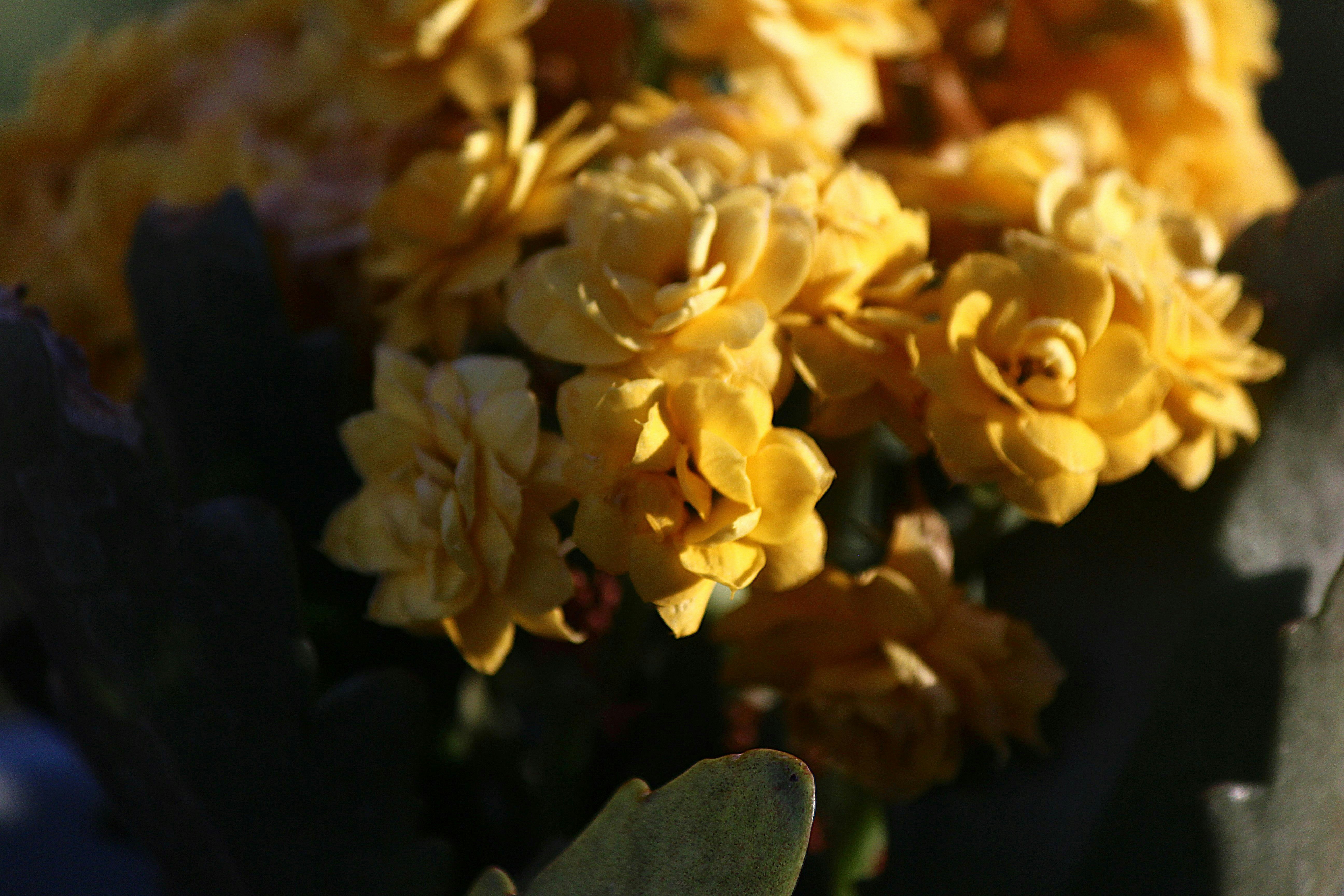 Photo by cengizozarpat