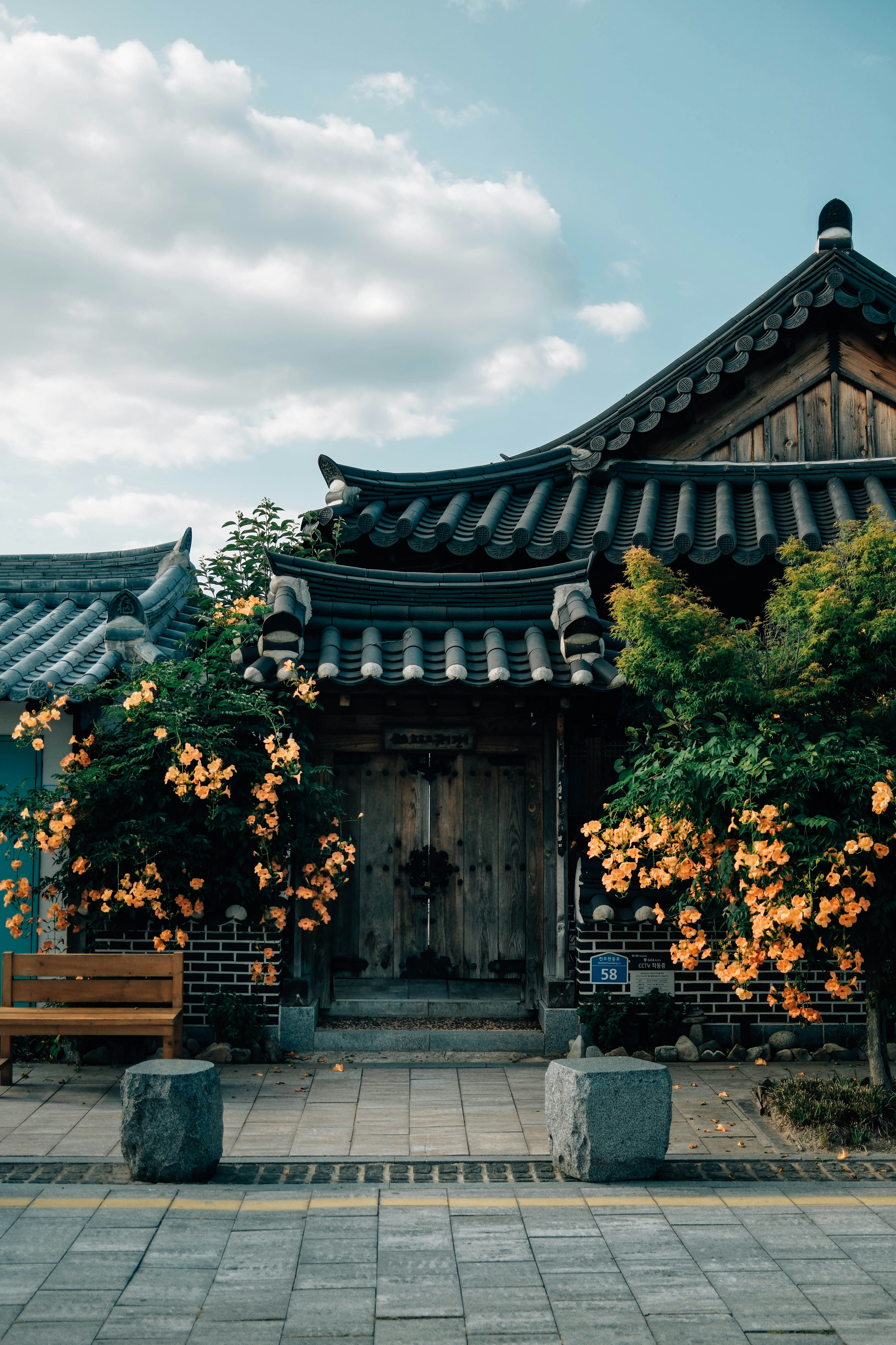 Photo by insungpandora