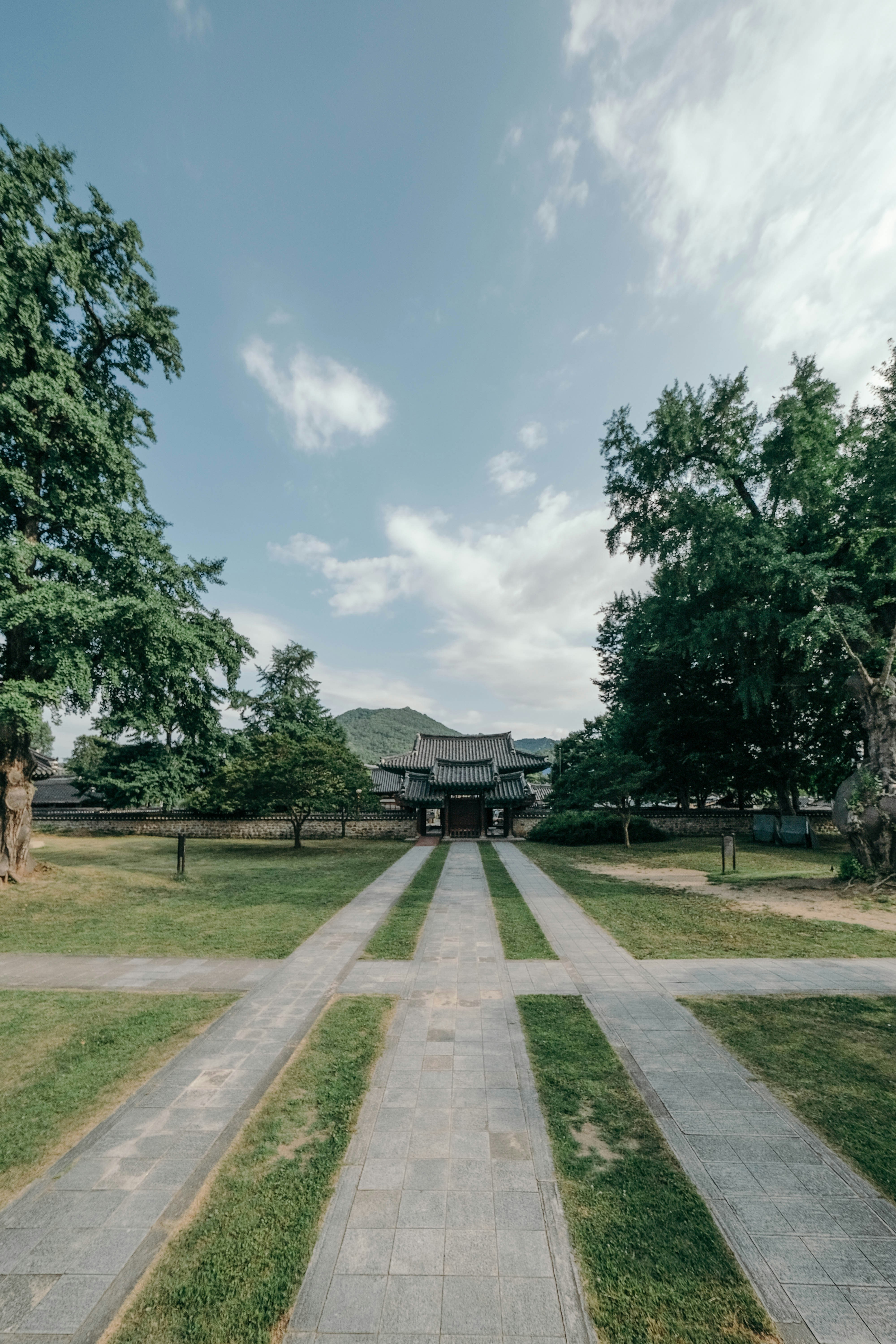 Photo by insungpandora