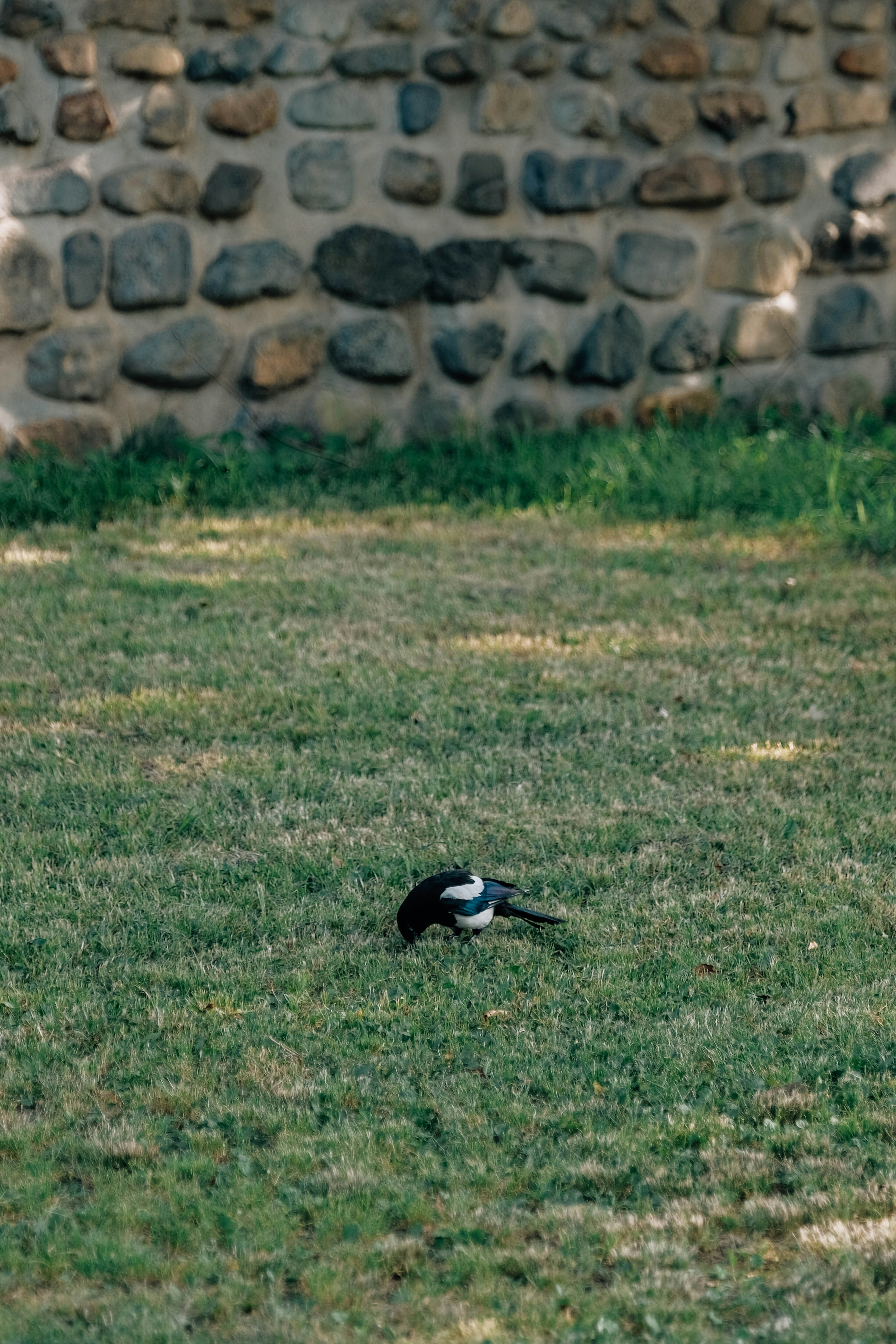 Photo by insungpandora