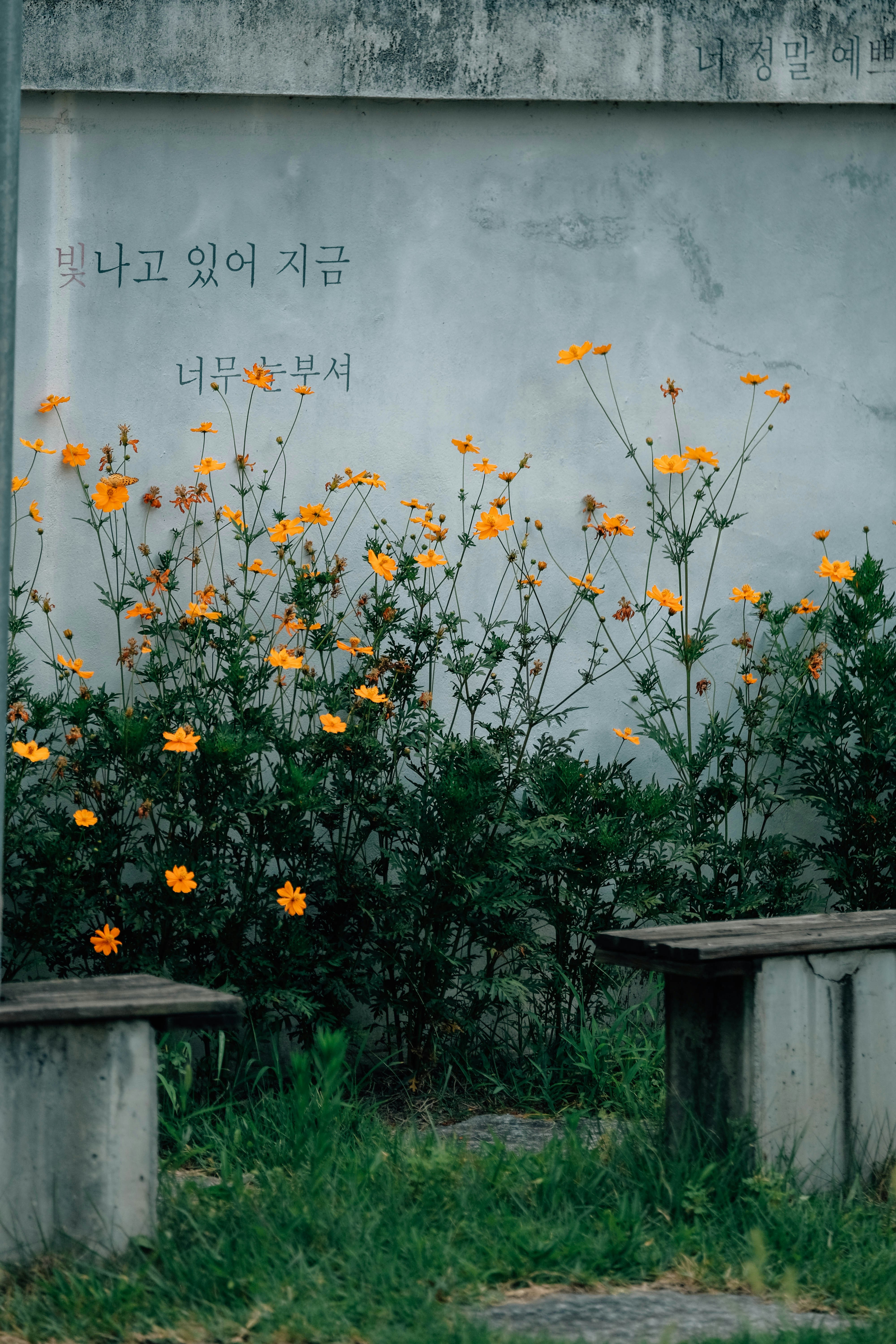 이정후 9월 경기일정 관련 이미지2