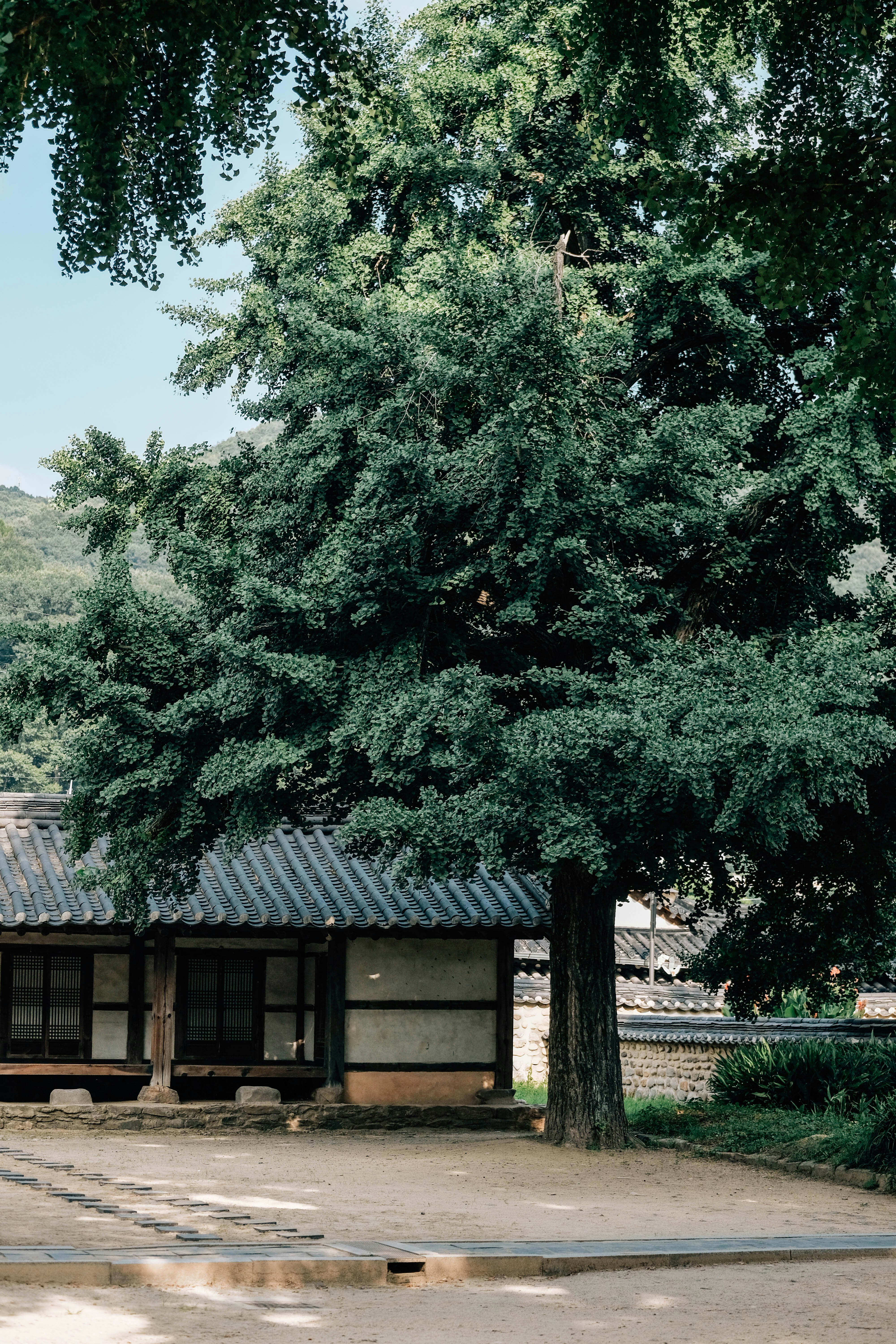 Photo by insungpandora