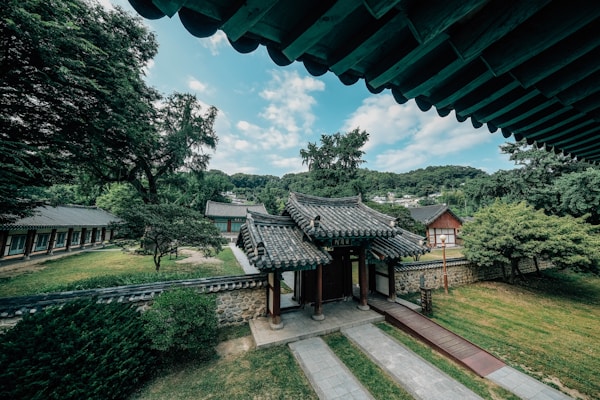 Traditional korean buildings in a lush green setting.