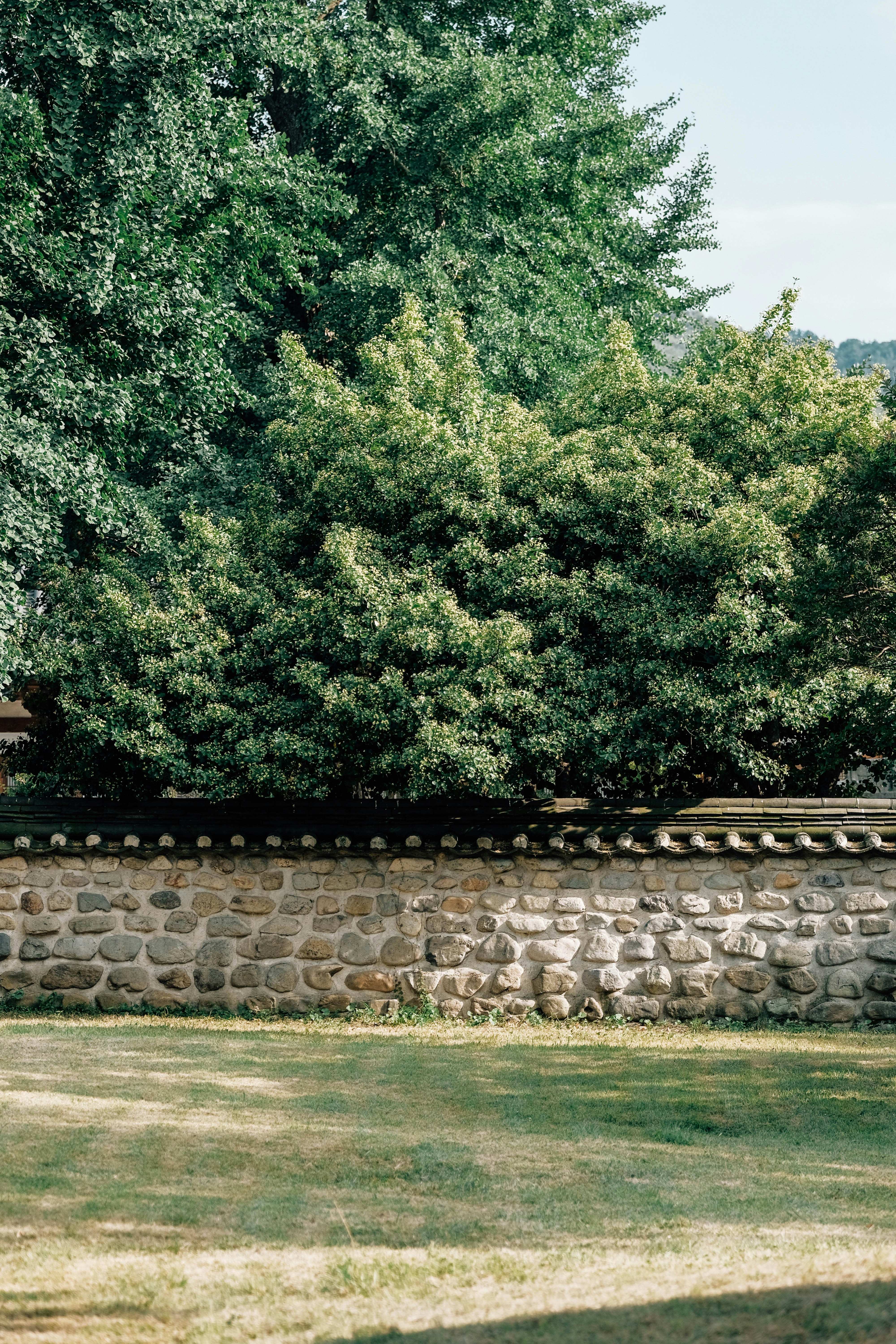 Photo by insungpandora