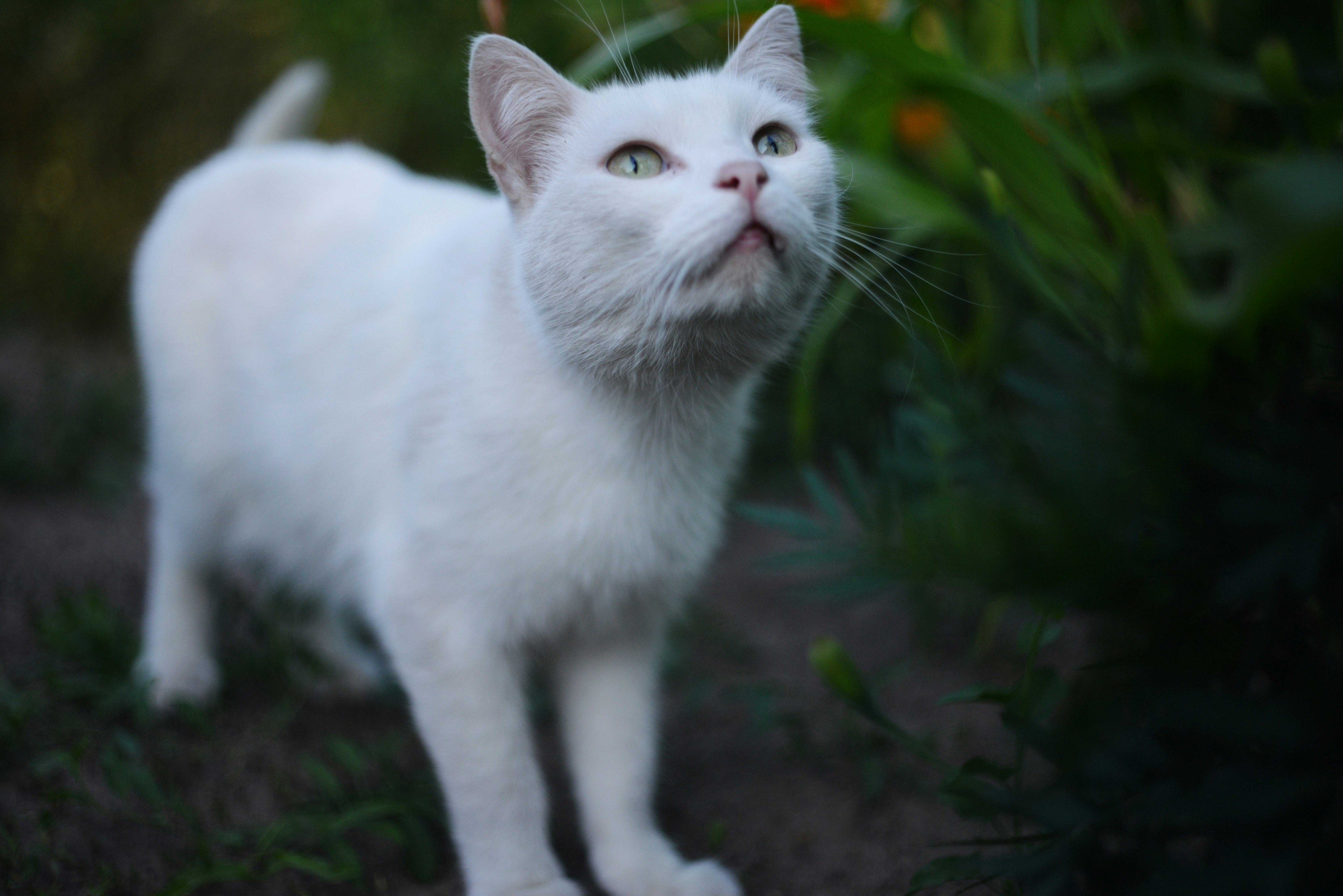 Photo by cherstve_pechivo