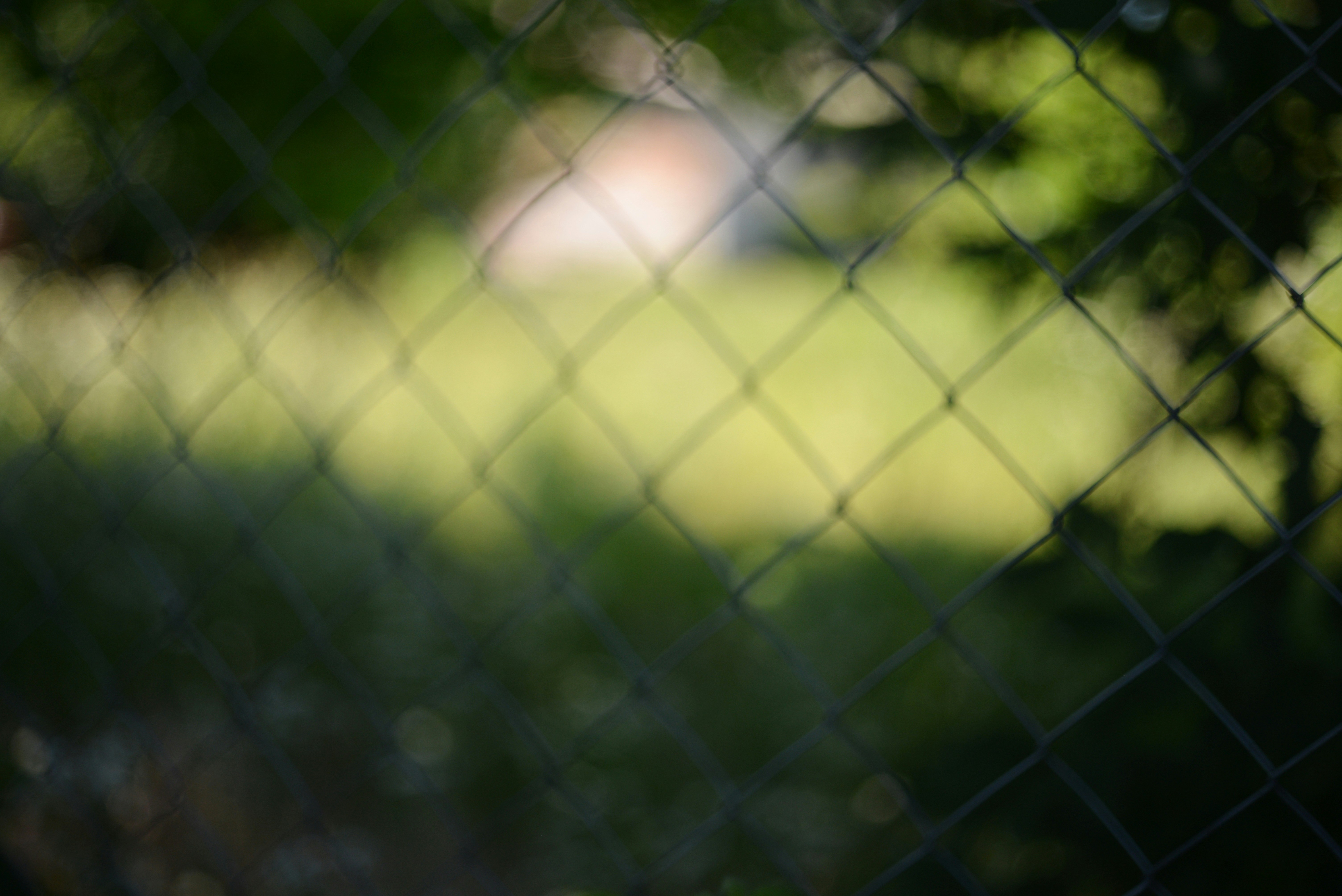 Photo by cherstve_pechivo