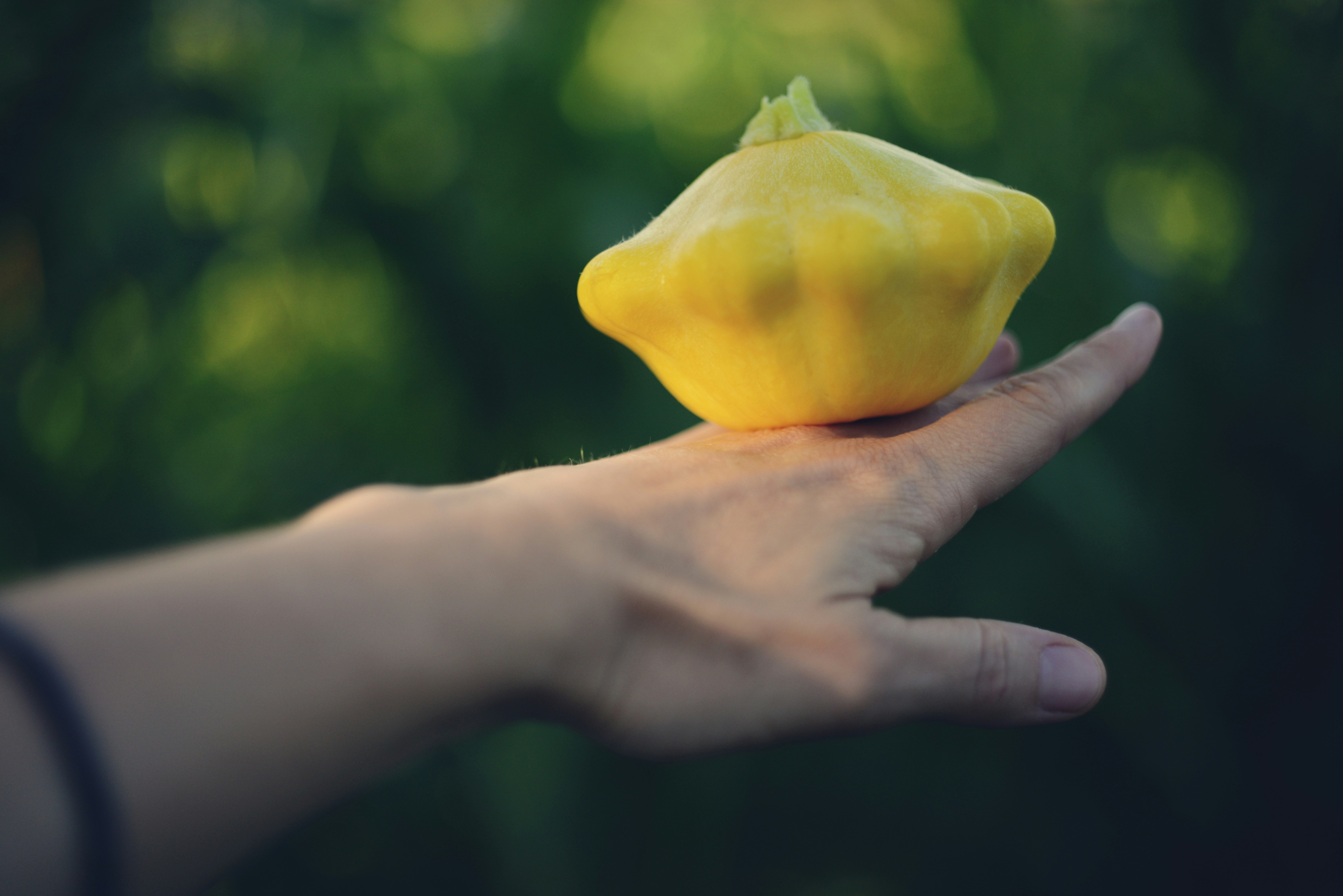 Photo by cherstve_pechivo