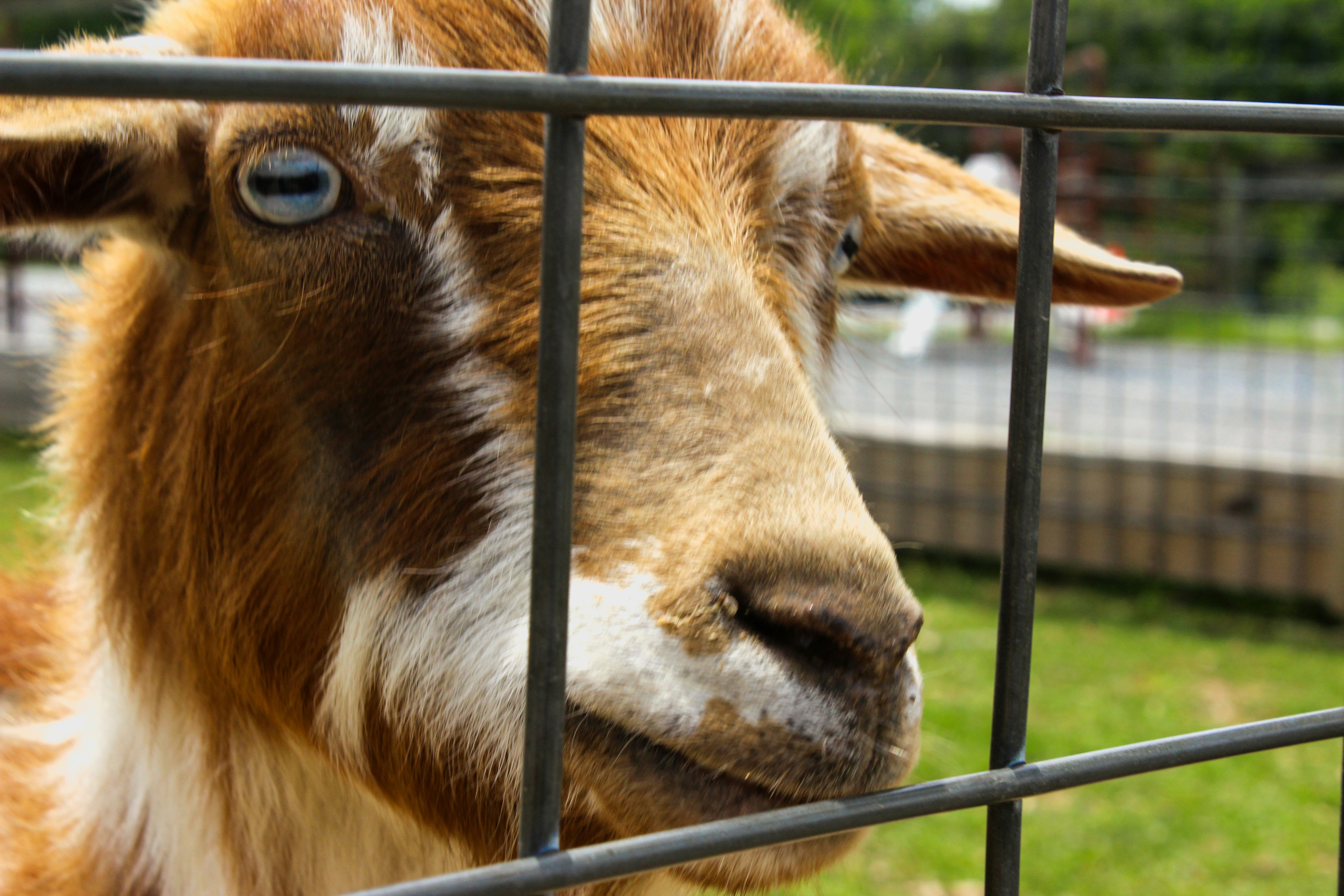 Photo by 0electric_comet0