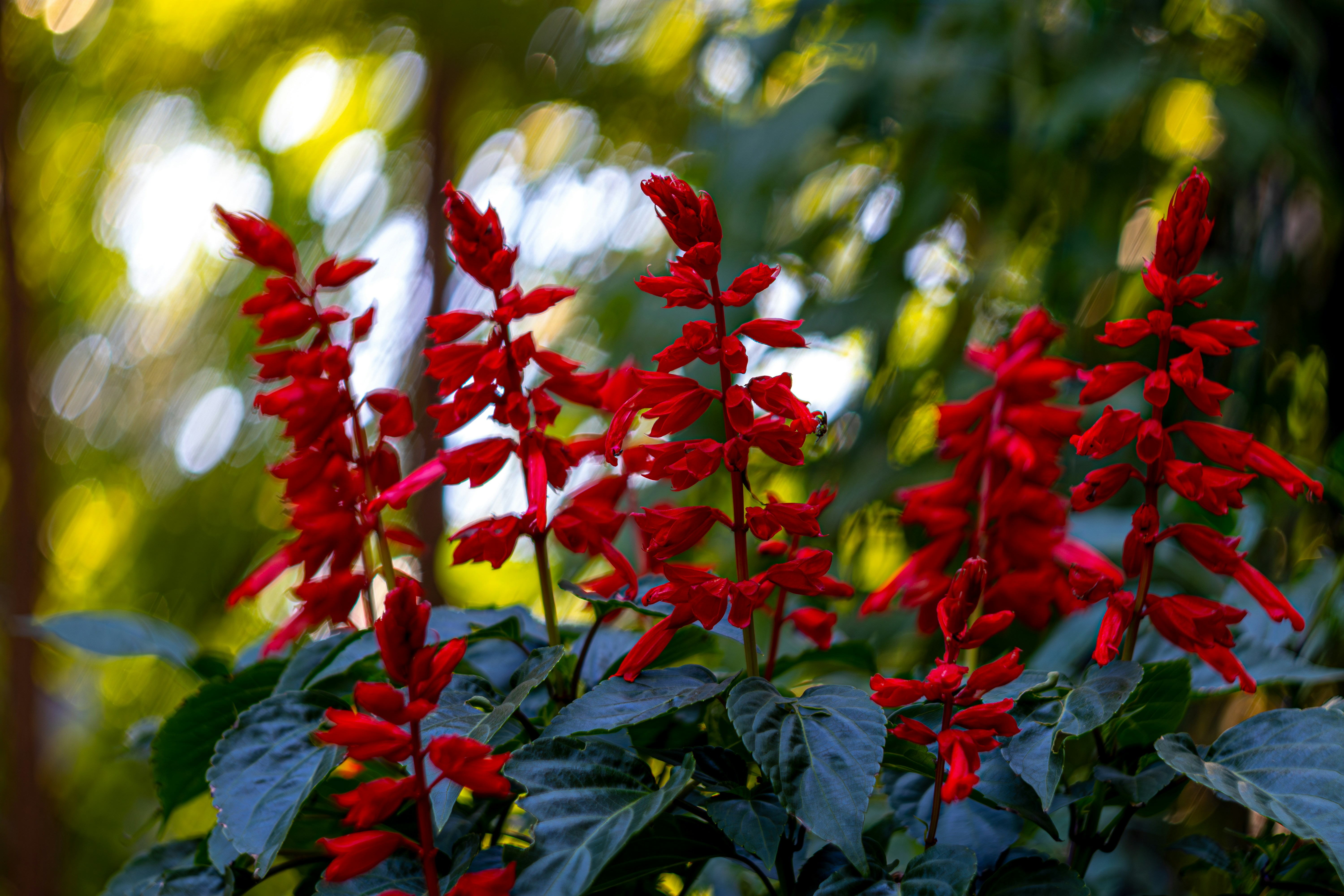 Photo by brice_cooper18