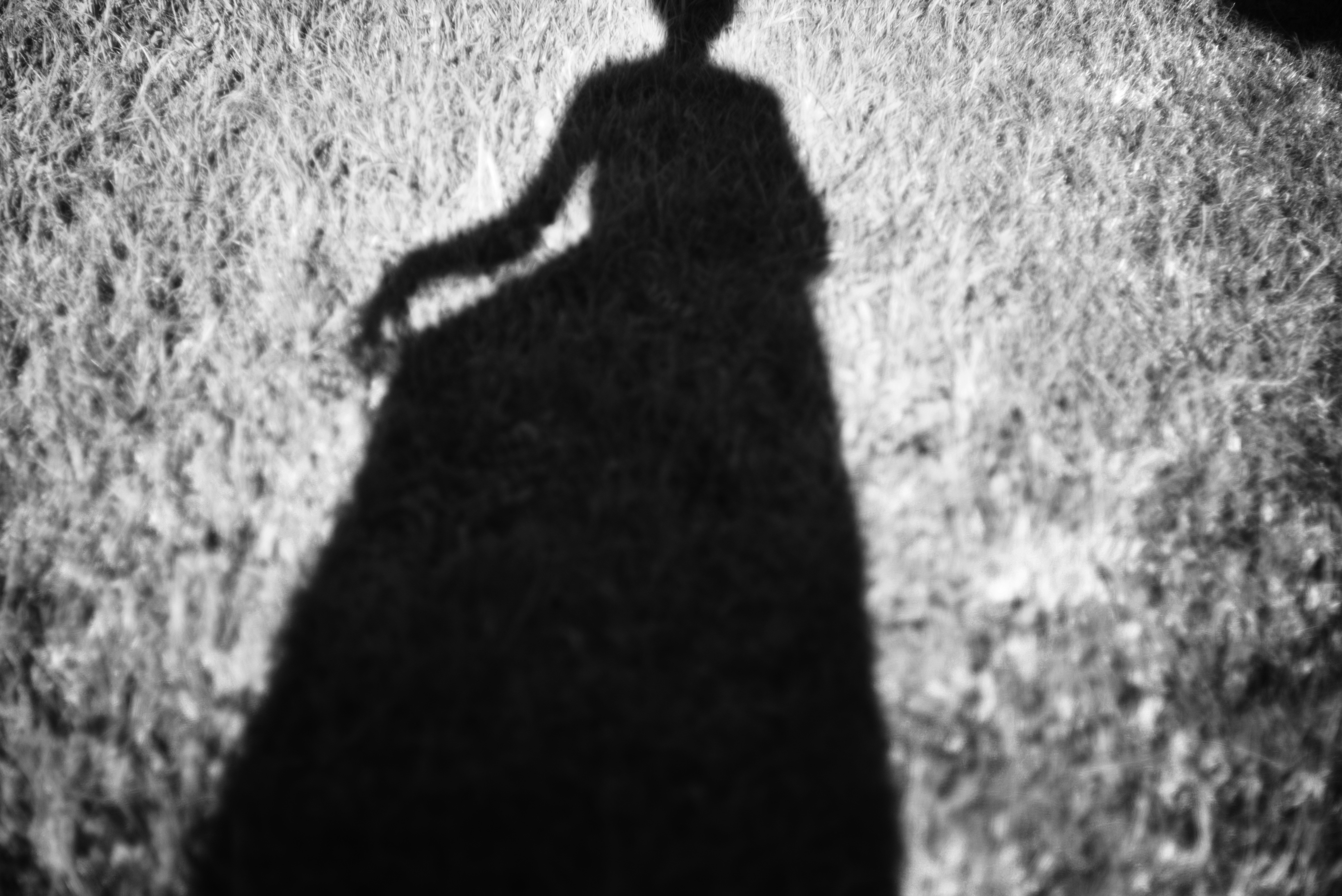 Long shadow on ground