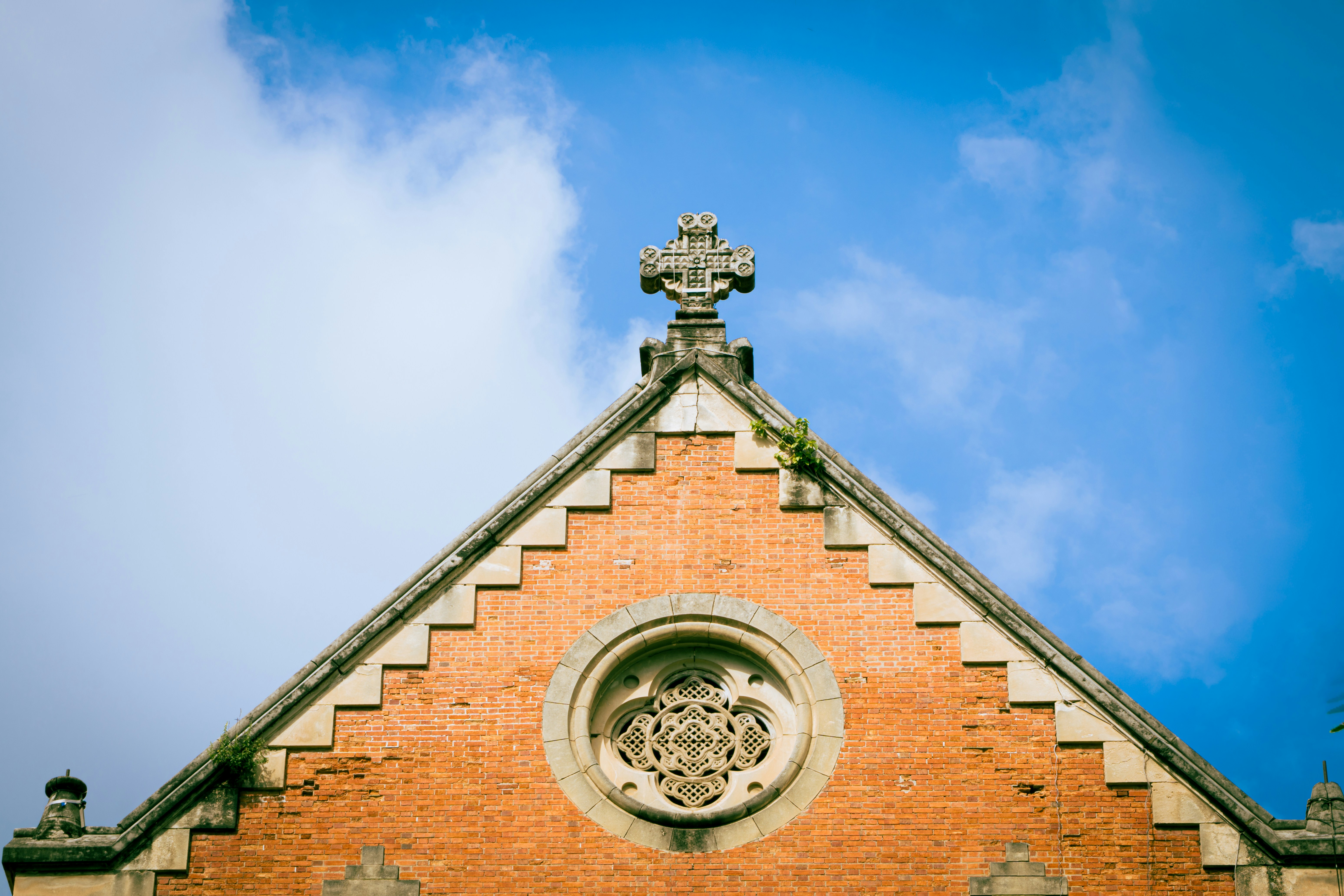 Photo by chuchu123456