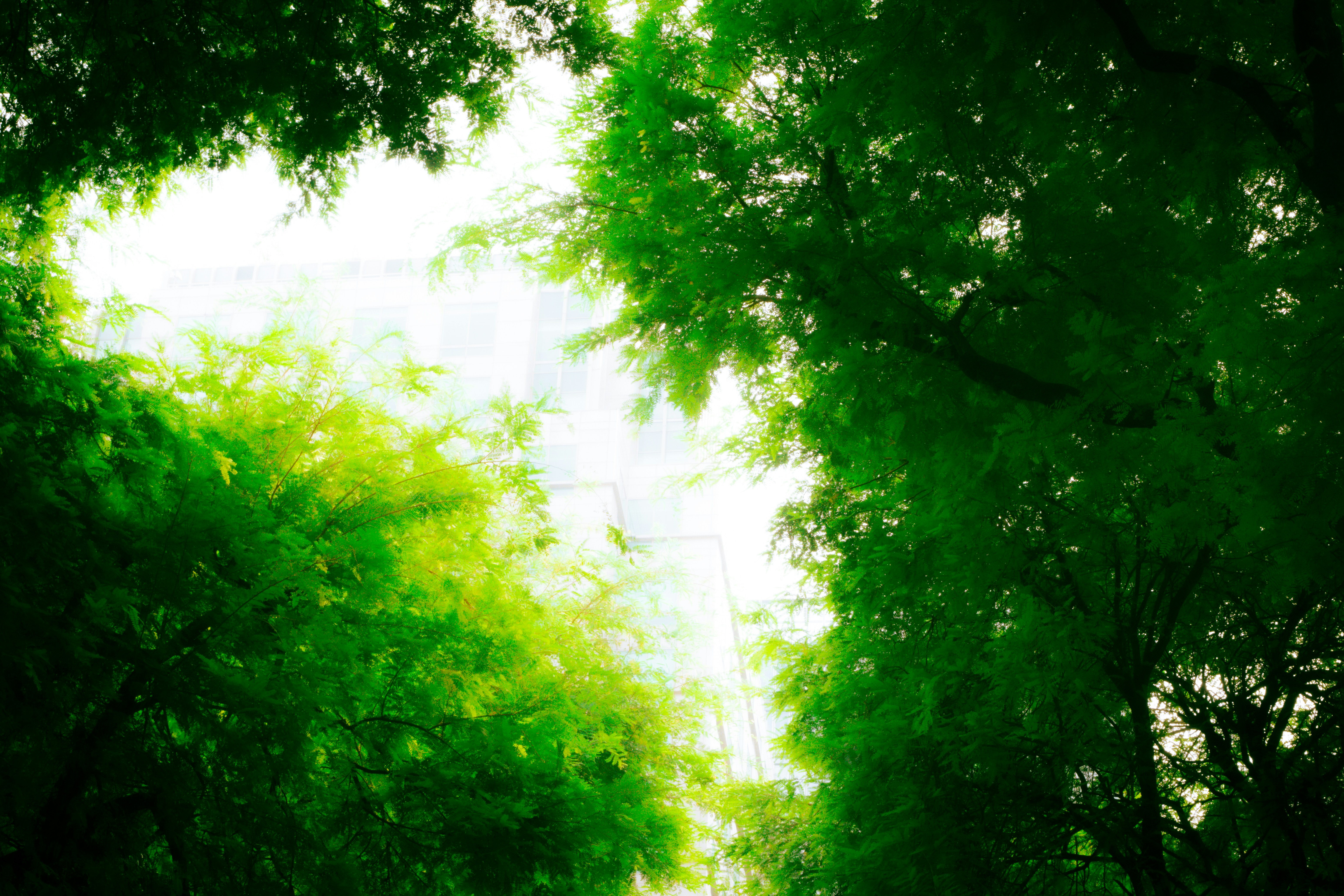 Photo by chuchu123456