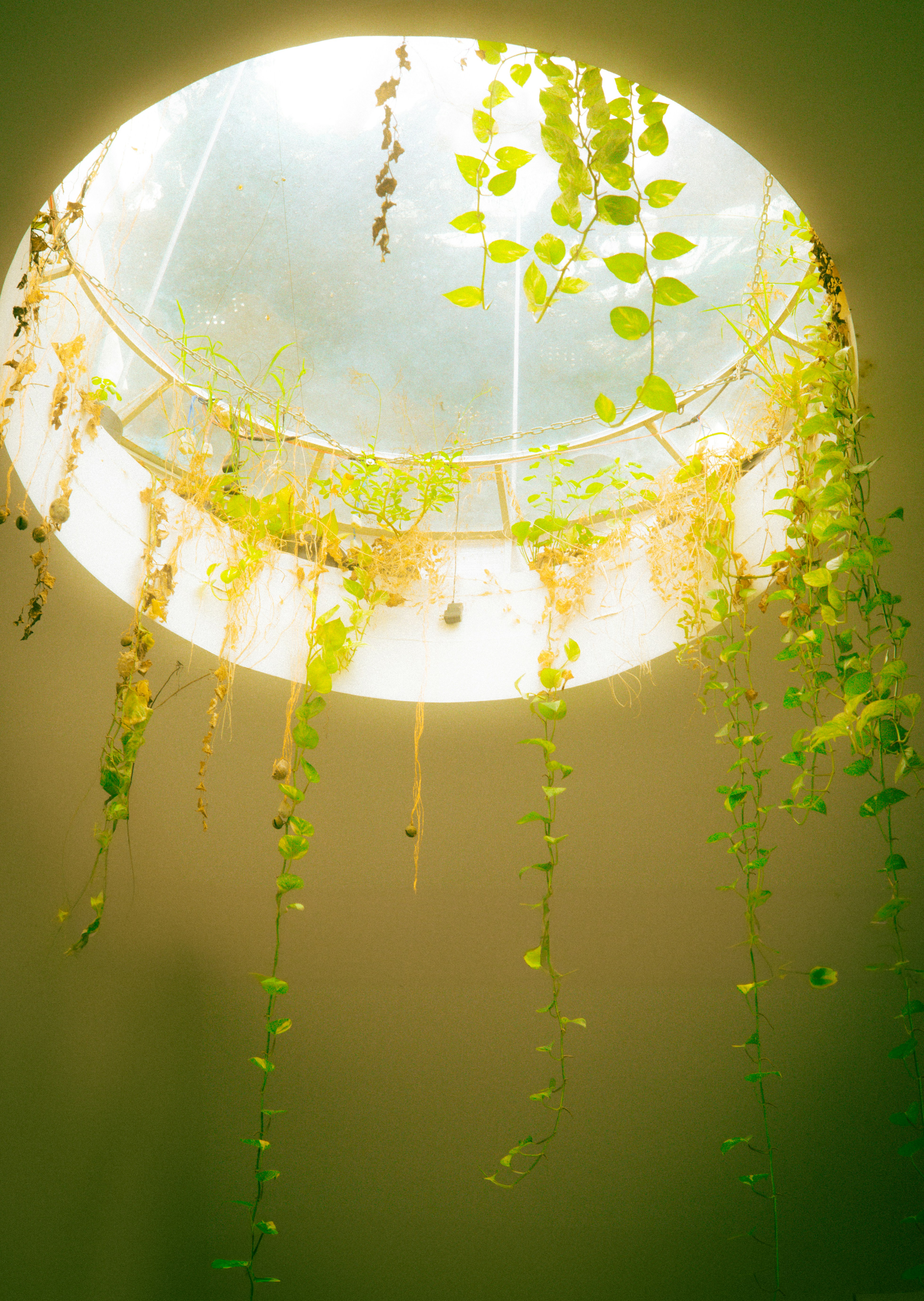 Photo by chuchu123456