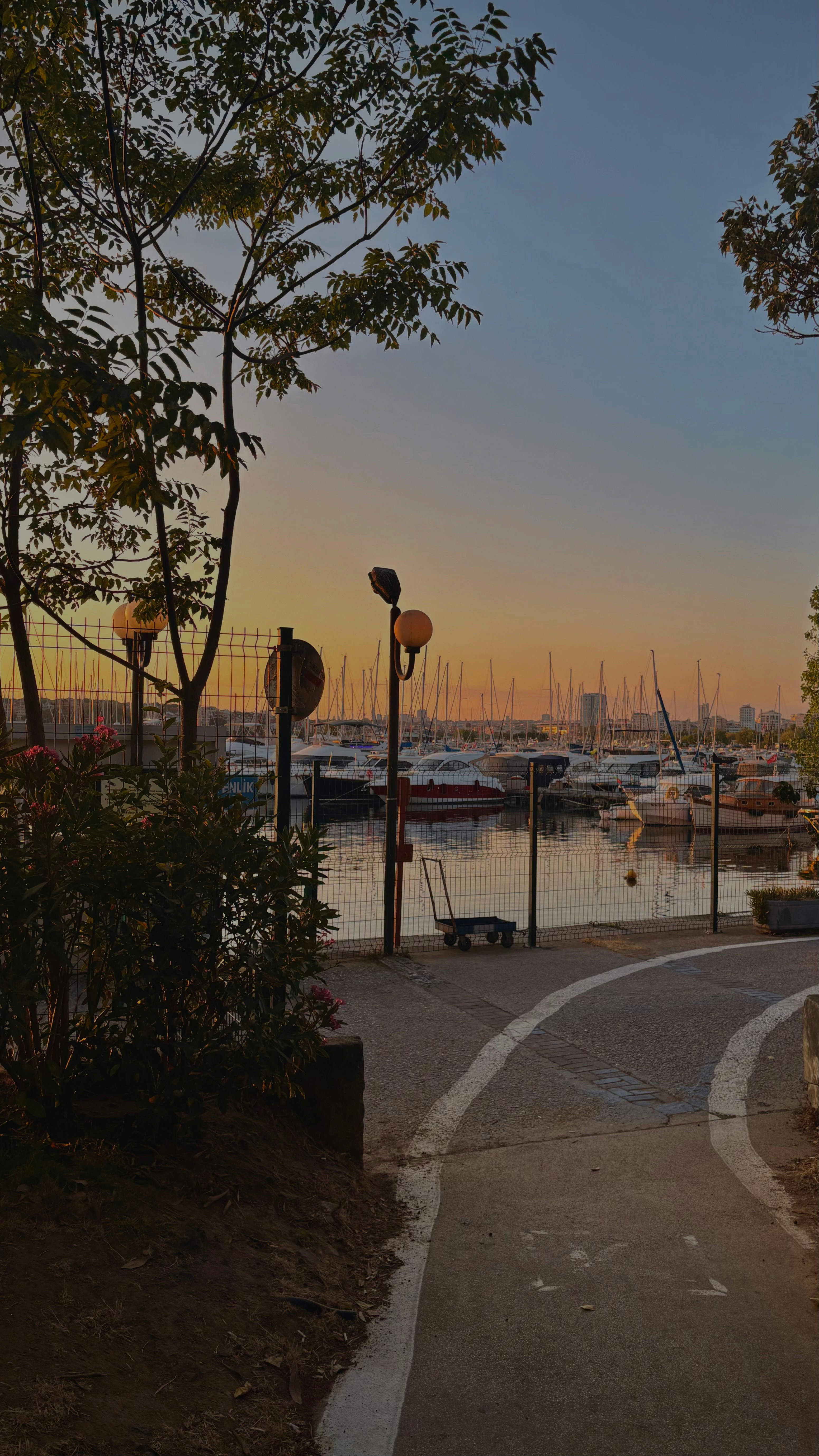 Harbor at sunset, with boats and a pathway.