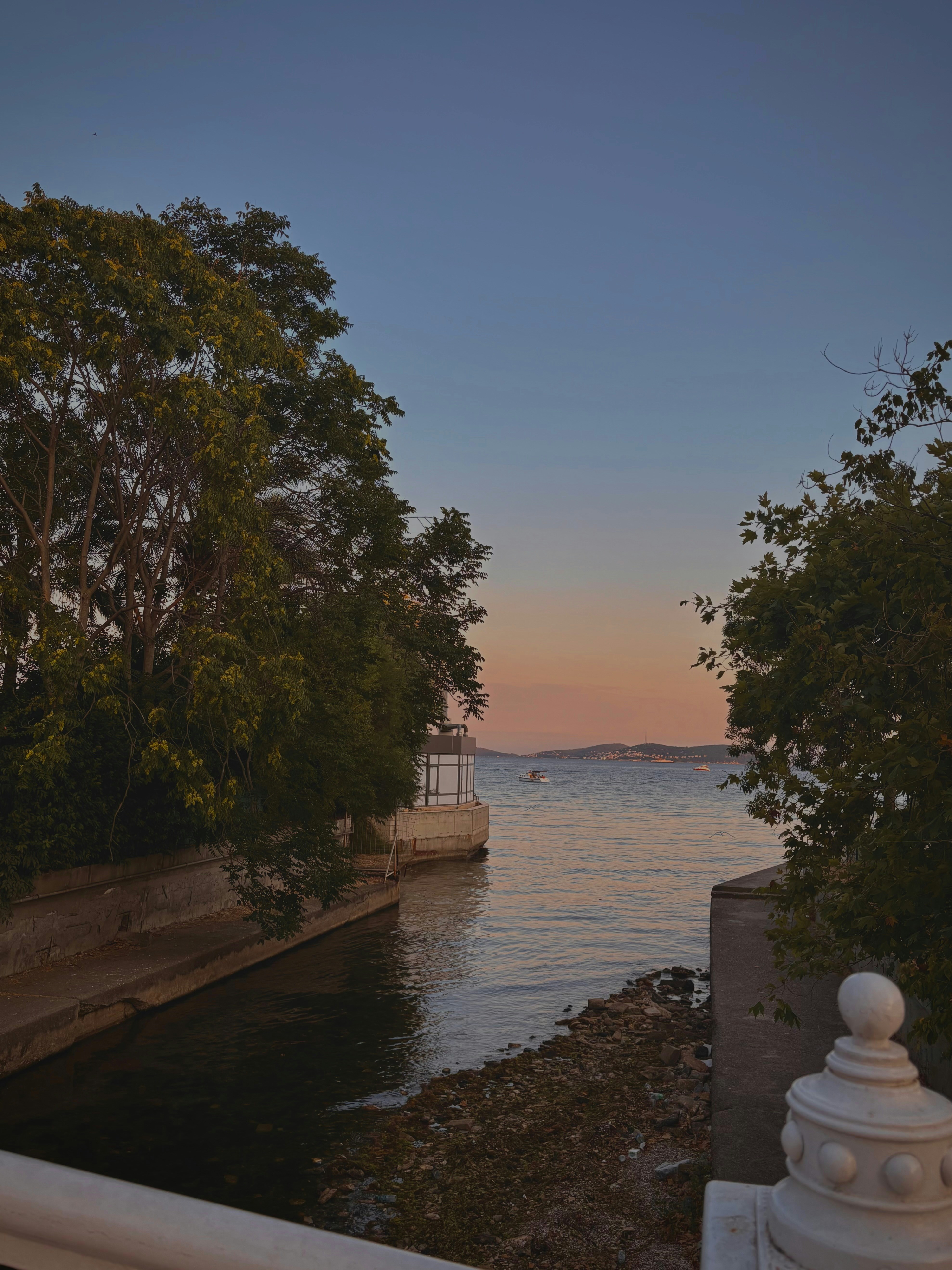Trees frame a serene bay at dusk.