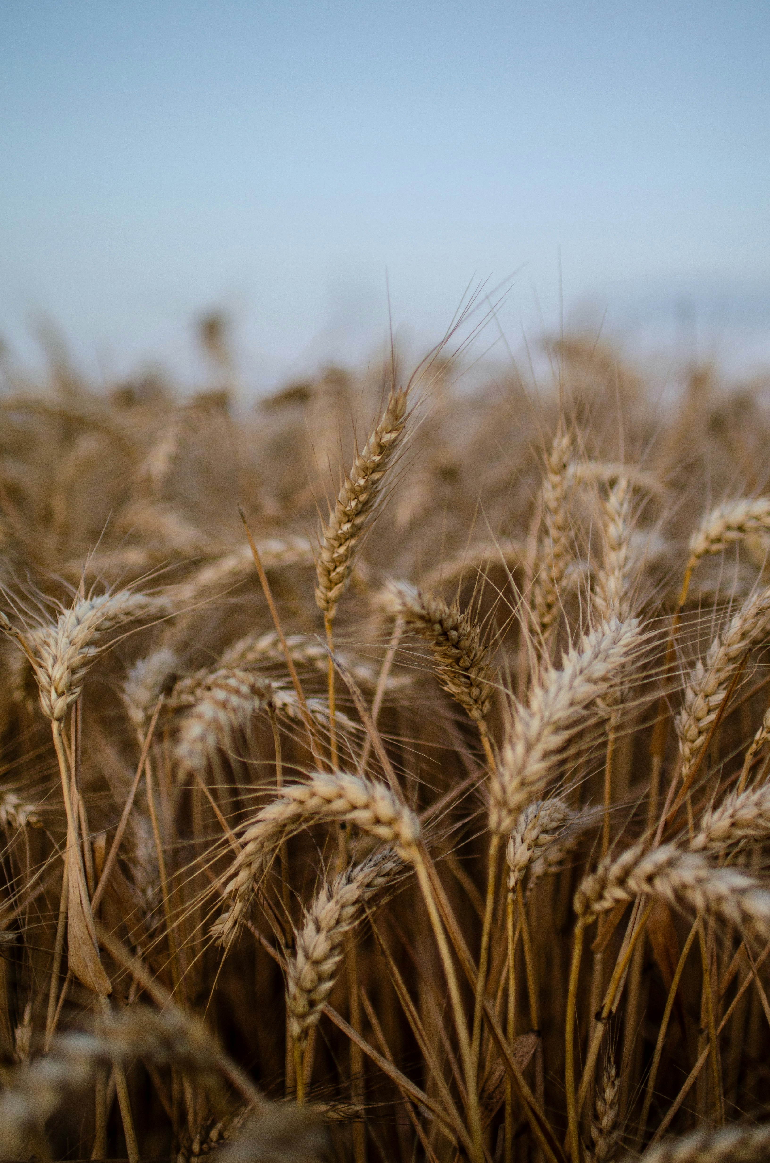 Photo by gamanalice3012