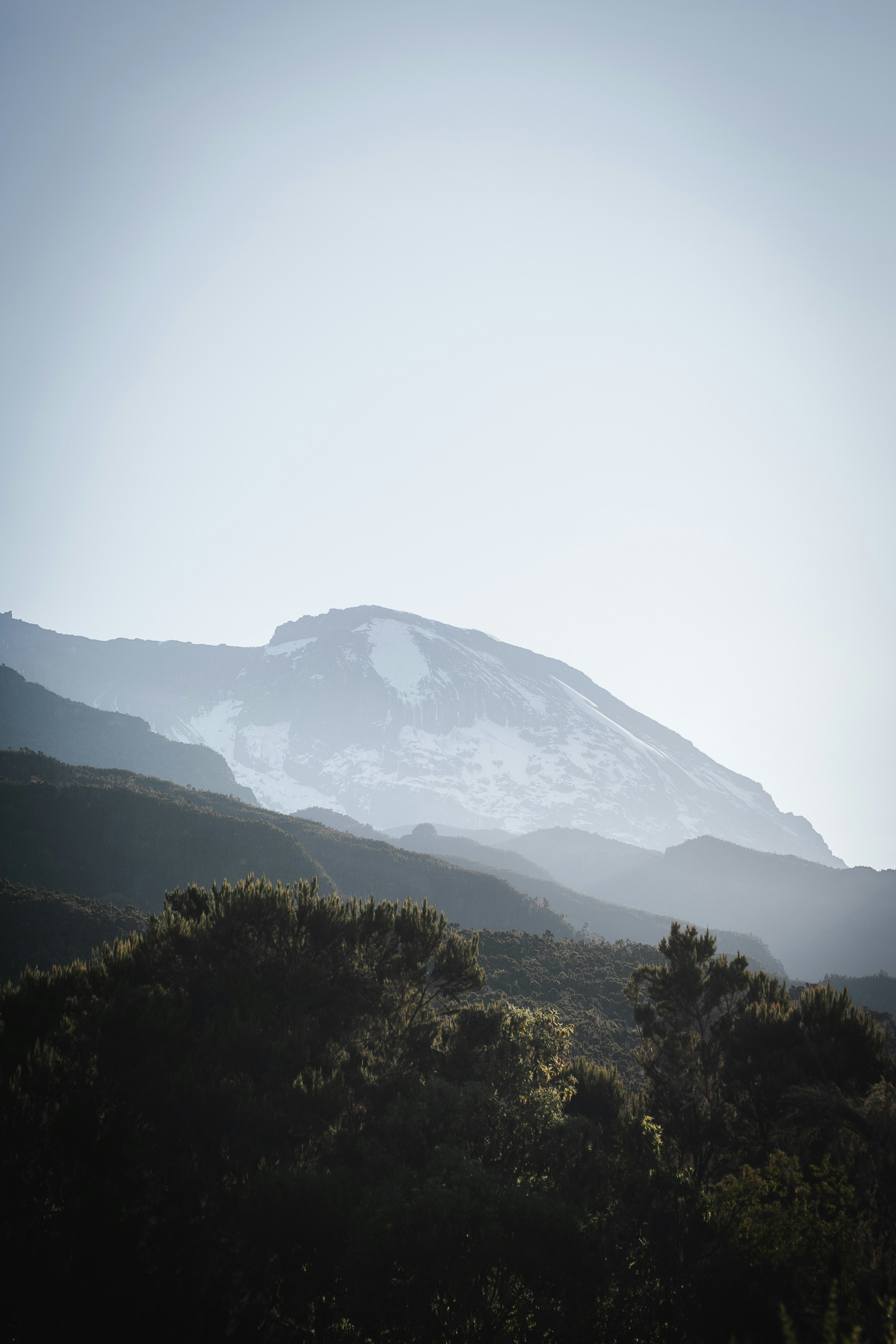 Photo by auchynnikau