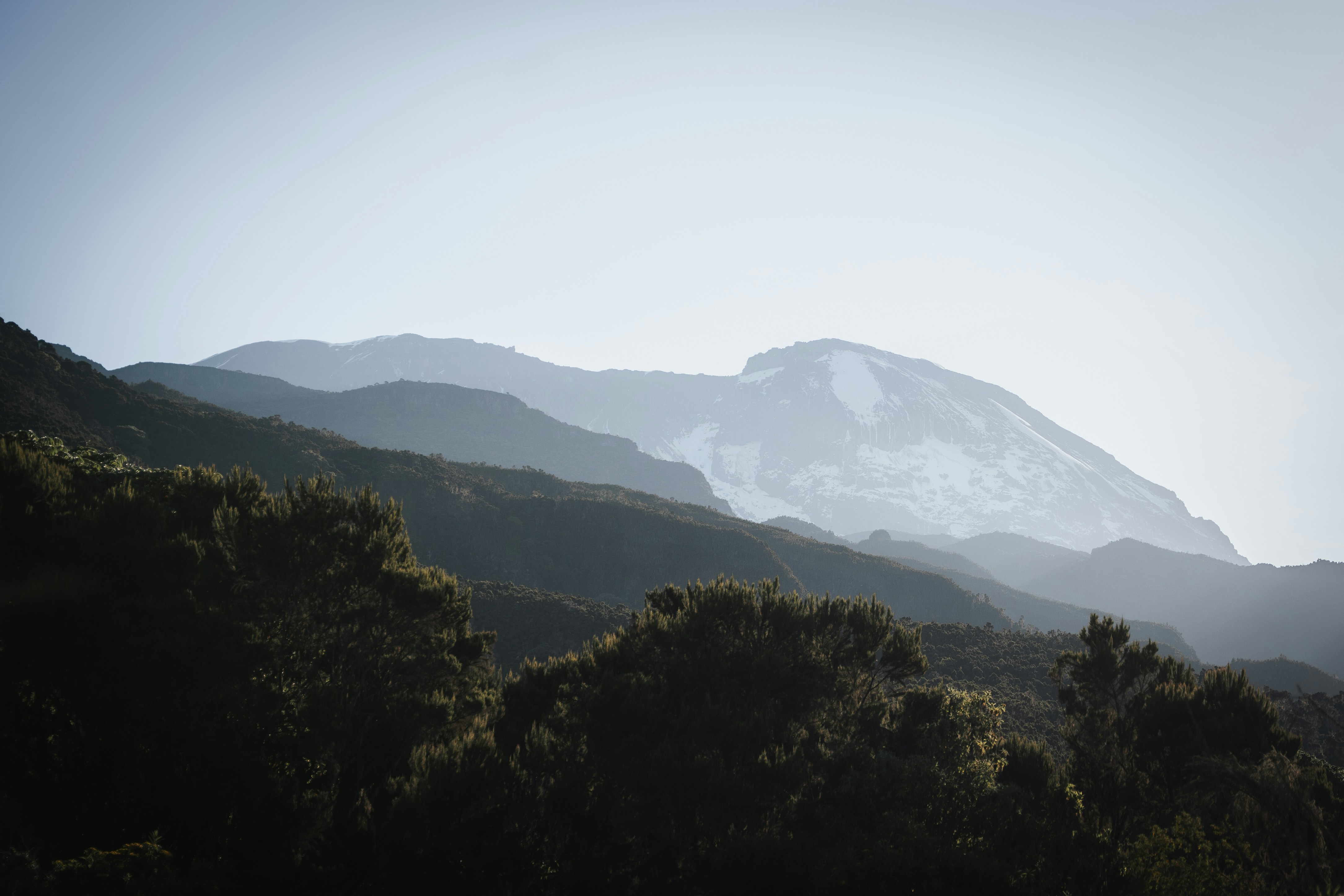 Photo by auchynnikau