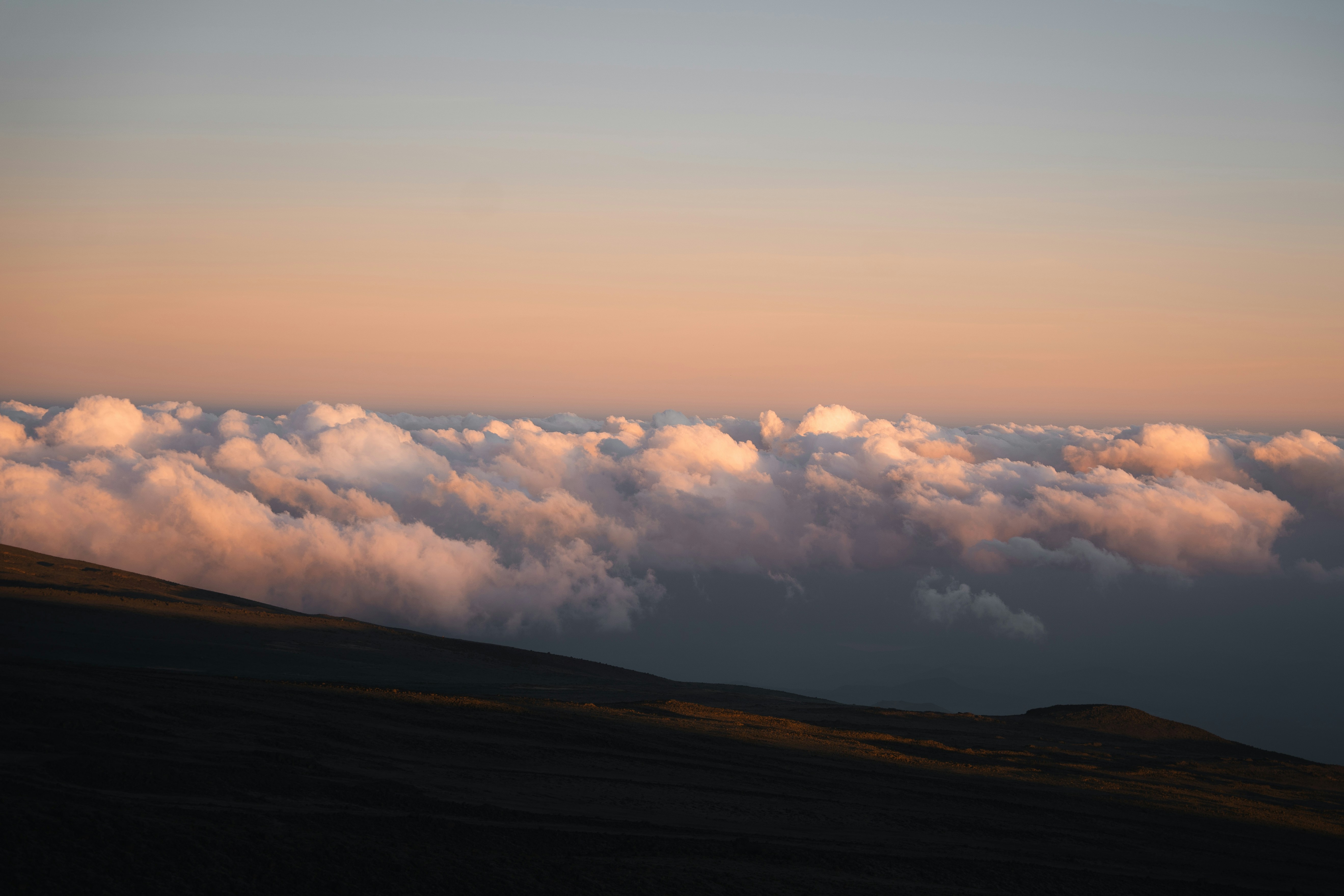 Photo by auchynnikau