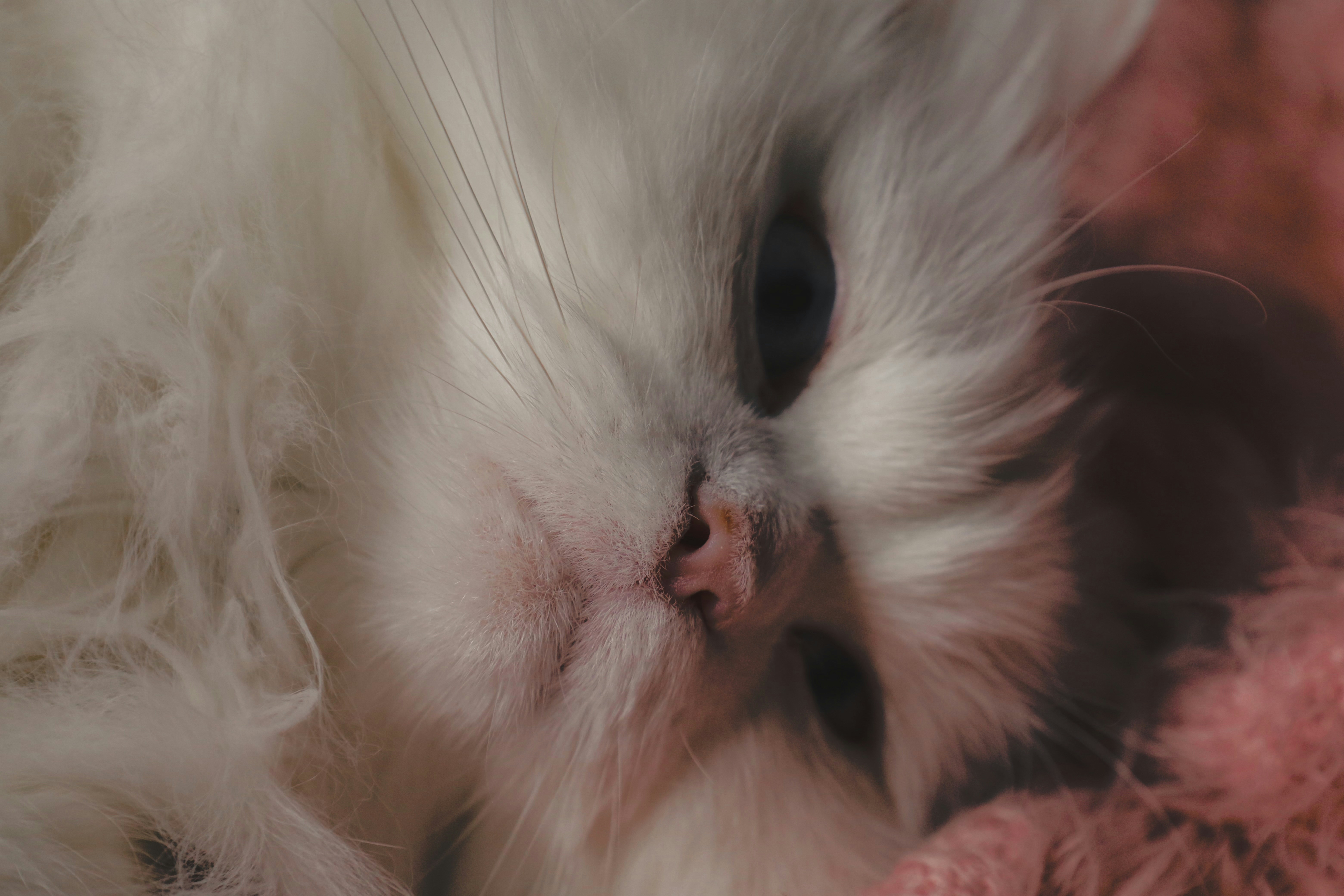 Photo by ananoelleeeee